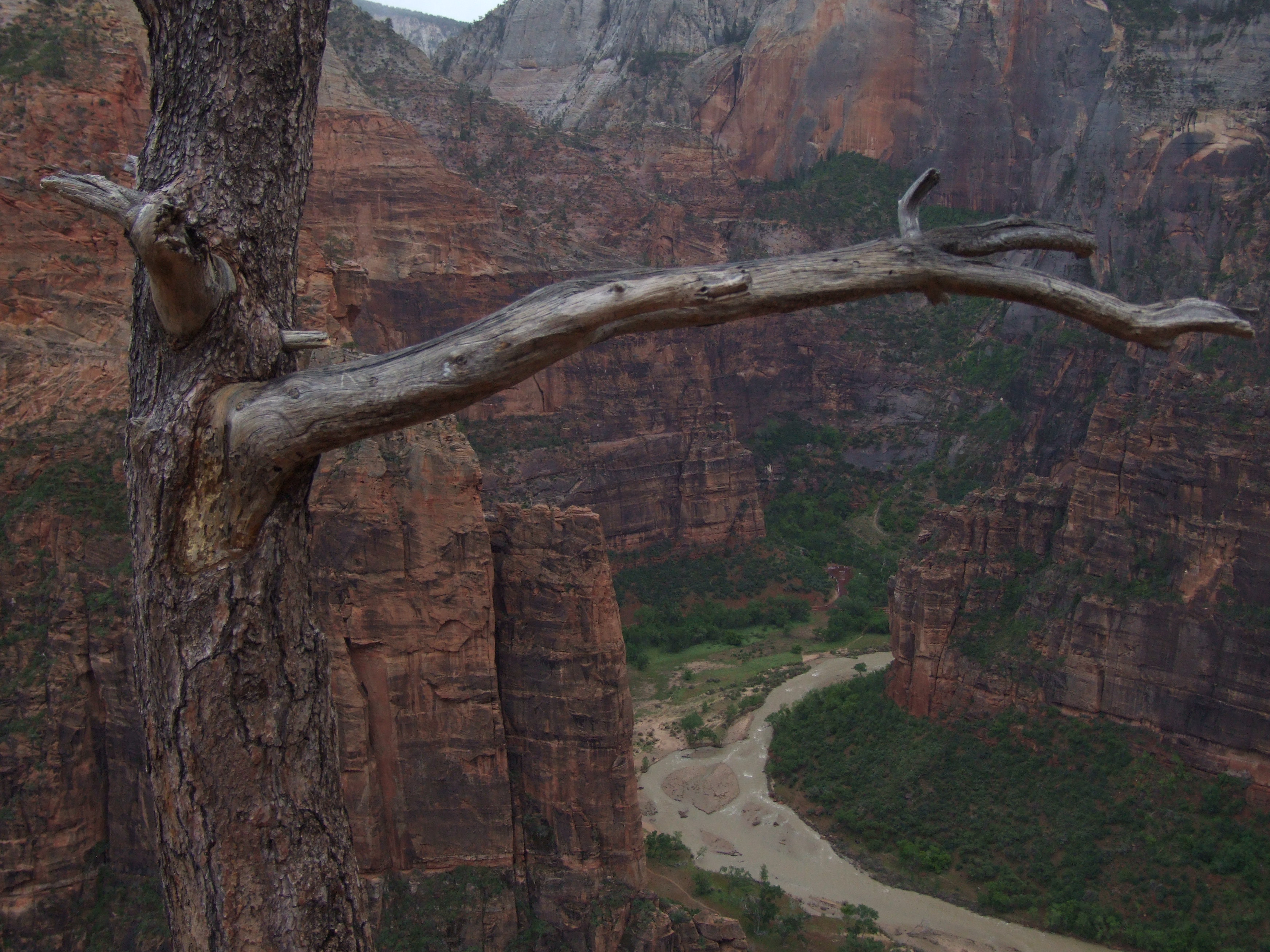 Free download high resolution image - free image free photo free stock image public domain picture -Giant Canyon, Arizona