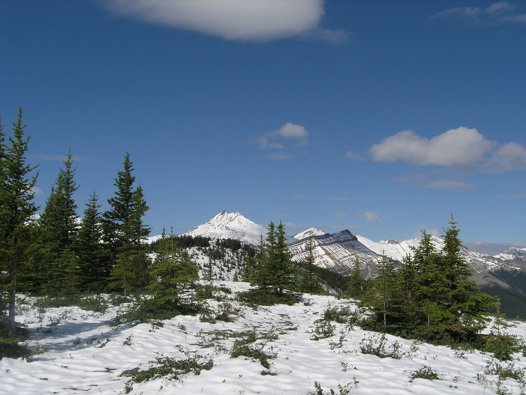 Free download high resolution image - free image free photo free stock image public domain picture -Canadian Rocky Mountain Parks