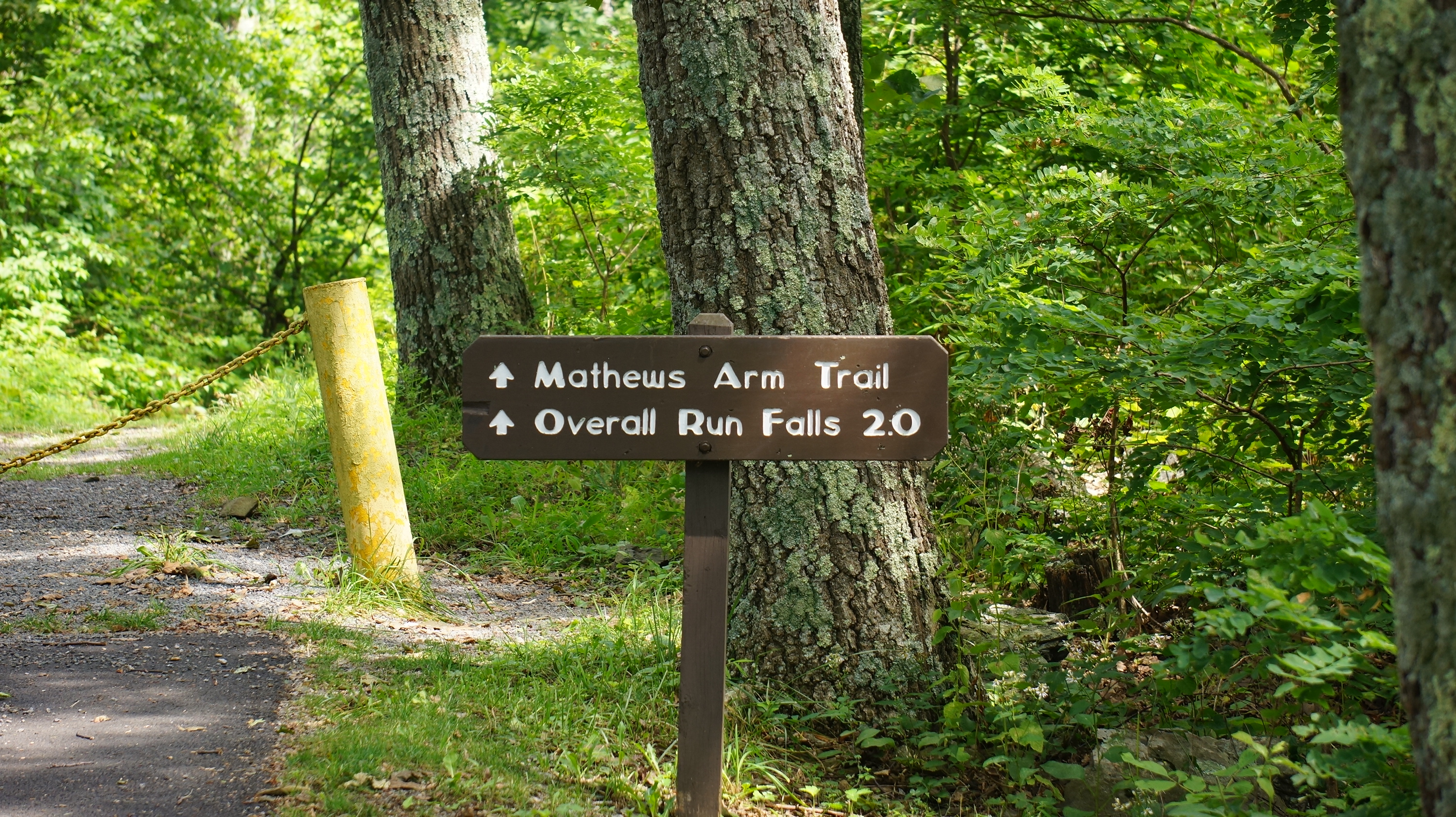 Free download high resolution image - free image free photo free stock image public domain picture -Mathews Arm Shenandoah