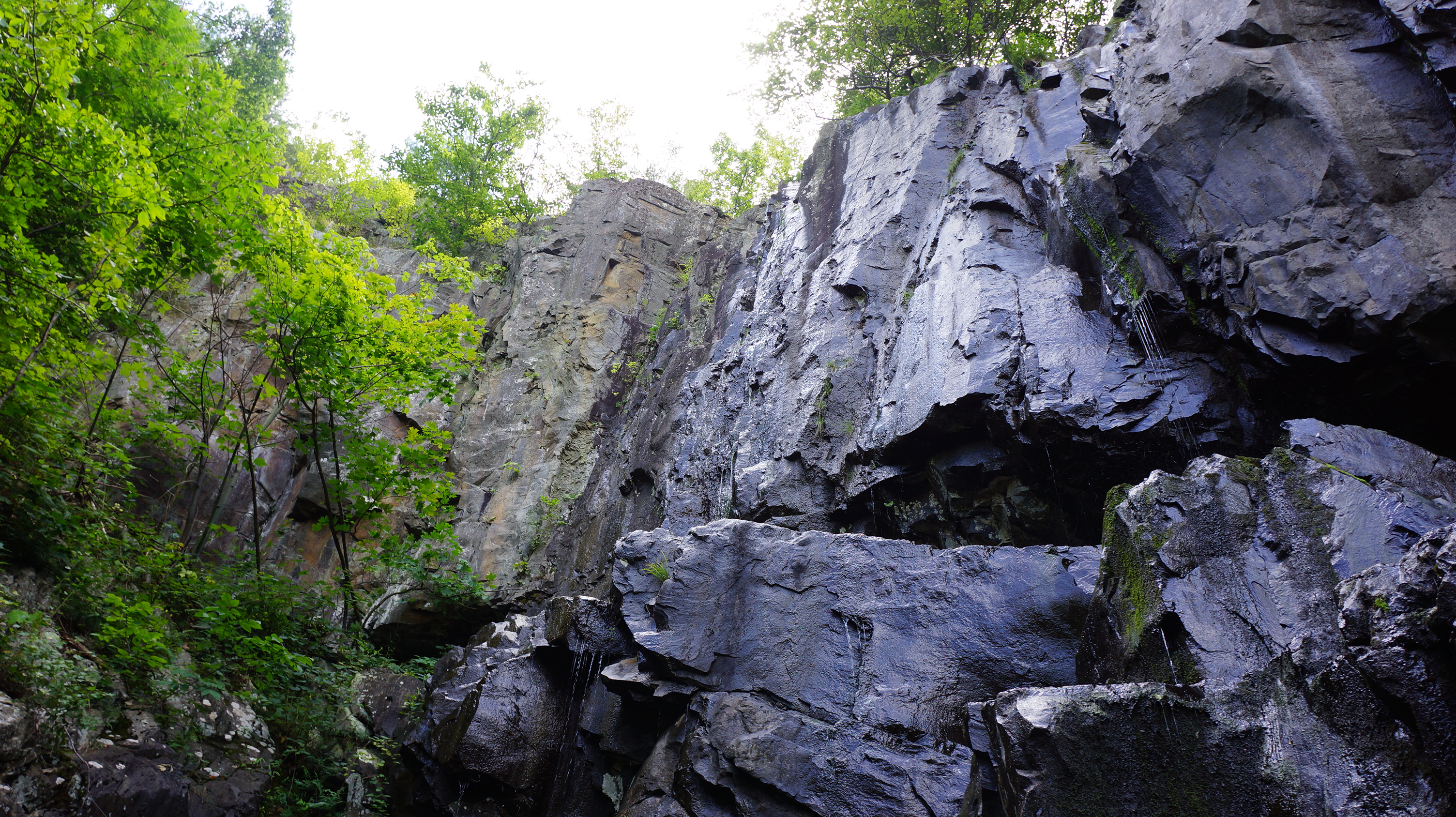 Free download high resolution image - free image free photo free stock image public domain picture -Overall Run Falls Trail Shenandoah