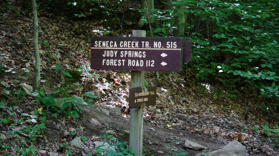 Free download high resolution image - free image free photo free stock image public domain picture  Dolly Sods Wilderness, West Virginia