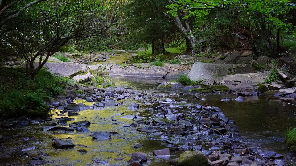 Free download high resolution image - free image free photo free stock image public domain picture  Dolly Sods Wilderness, West Virginia