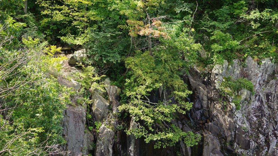 Free download high resolution image - free image free photo free stock image public domain picture  Overall Run Falls in Shenandoah