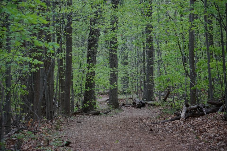 Free download high resolution image - free image free photo free stock image public domain picture  scott's run nature preserve Trail