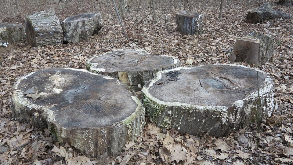 Free download high resolution image - free image free photo free stock image public domain picture  Bears Den Trail Center