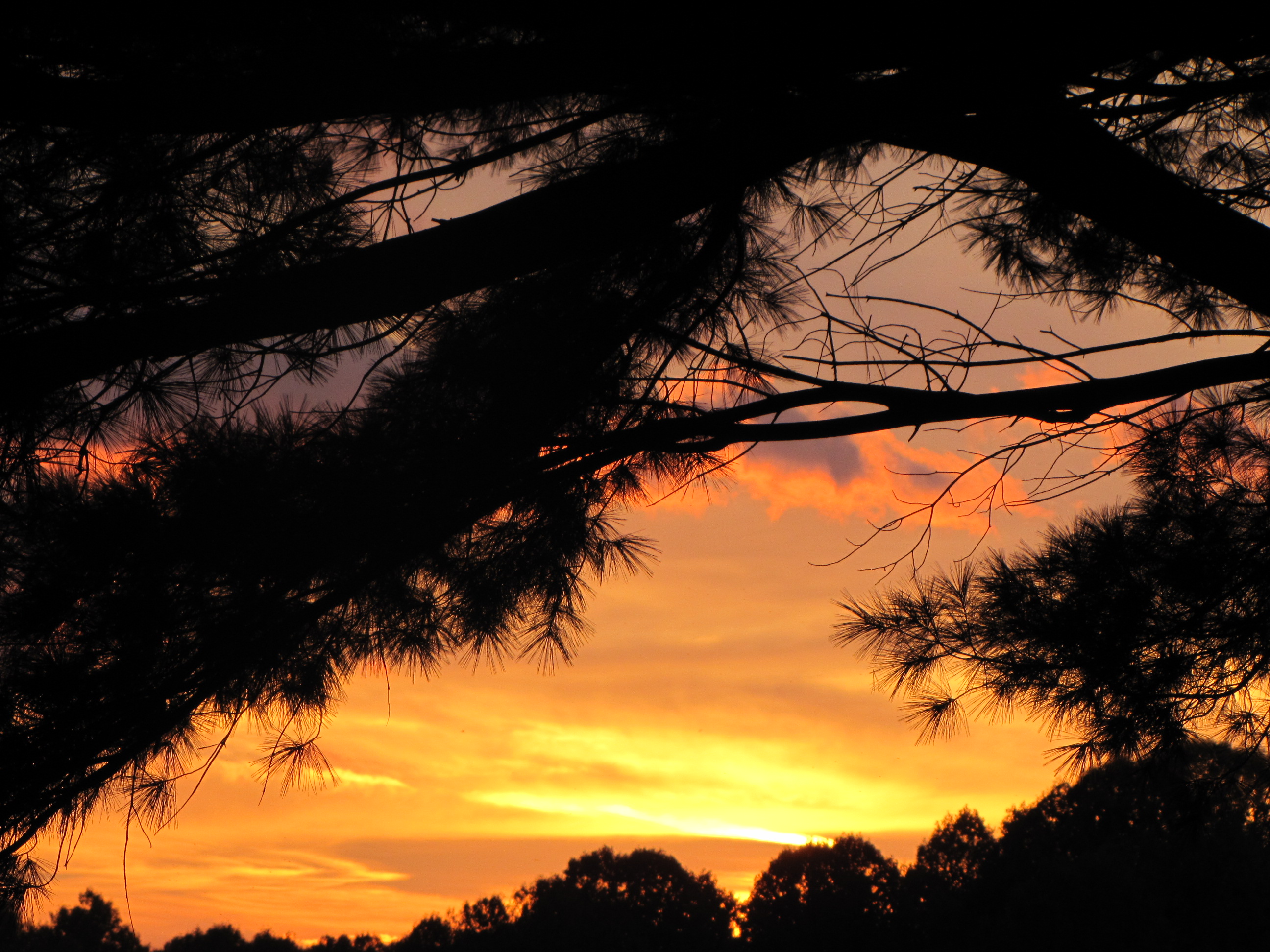 Free download high resolution image - free image free photo free stock image public domain picture -Flaming Sunset 2