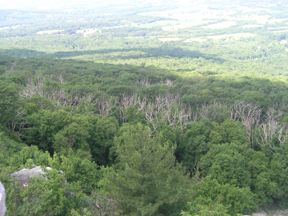 Free download high resolution image - free image free photo free stock image public domain picture  Marys Rock Trail