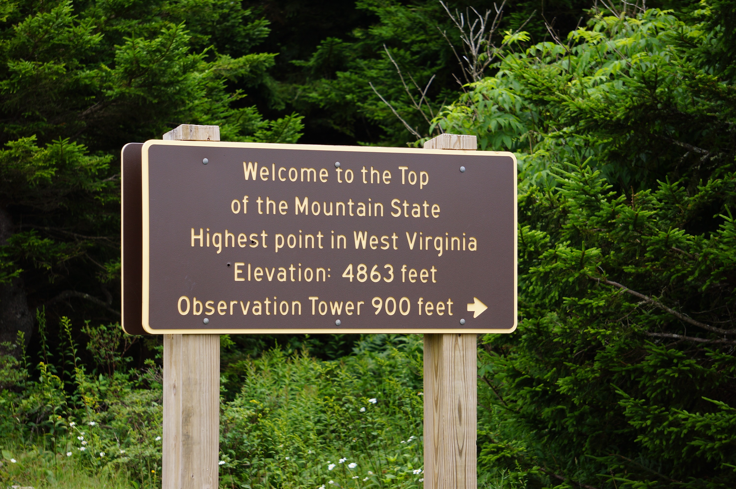 Free download high resolution image - free image free photo free stock image public domain picture -Spruce Mountain in WV