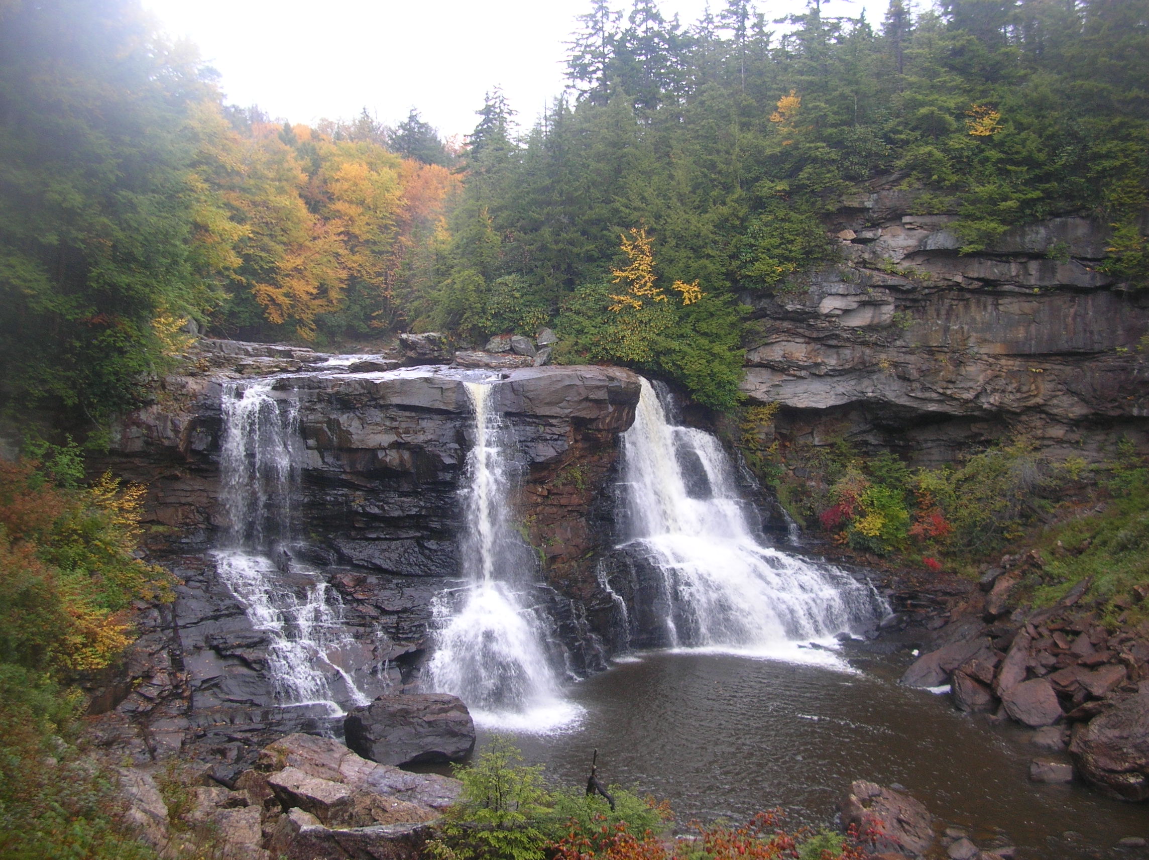 Free download high resolution image - free image free photo free stock image public domain picture -Blackwater Falls State Park