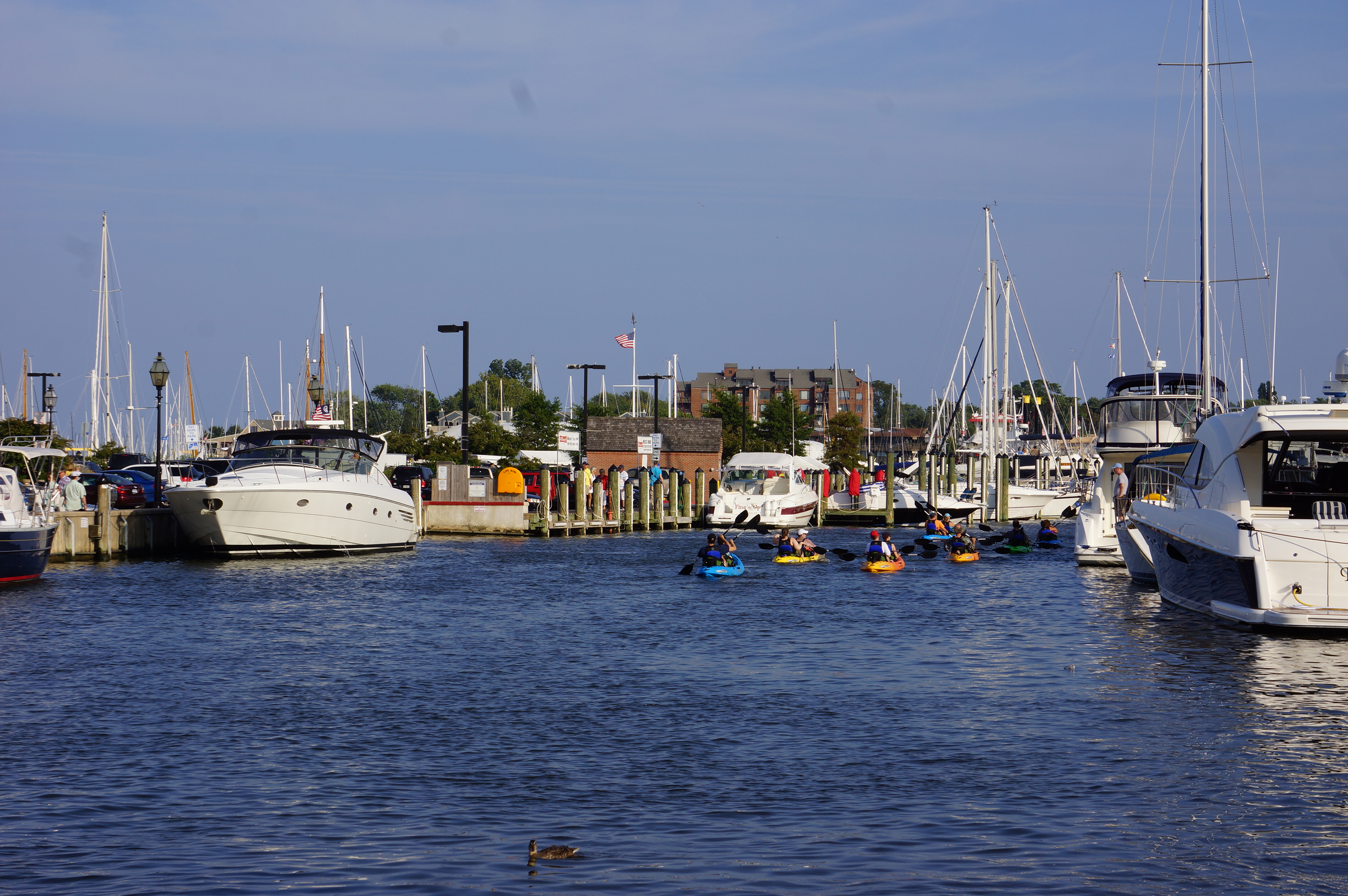 Free download high resolution image - free image free photo free stock image public domain picture -Annapolis Canoe and Kayak