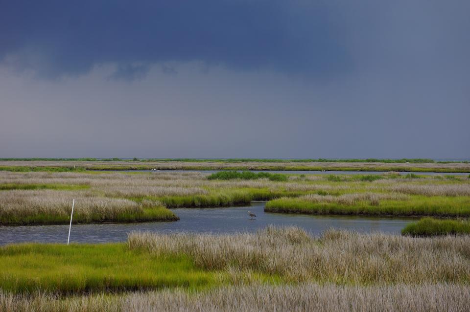 Free download high resolution image - free image free photo free stock image public domain picture  Beach During Thunderstorm