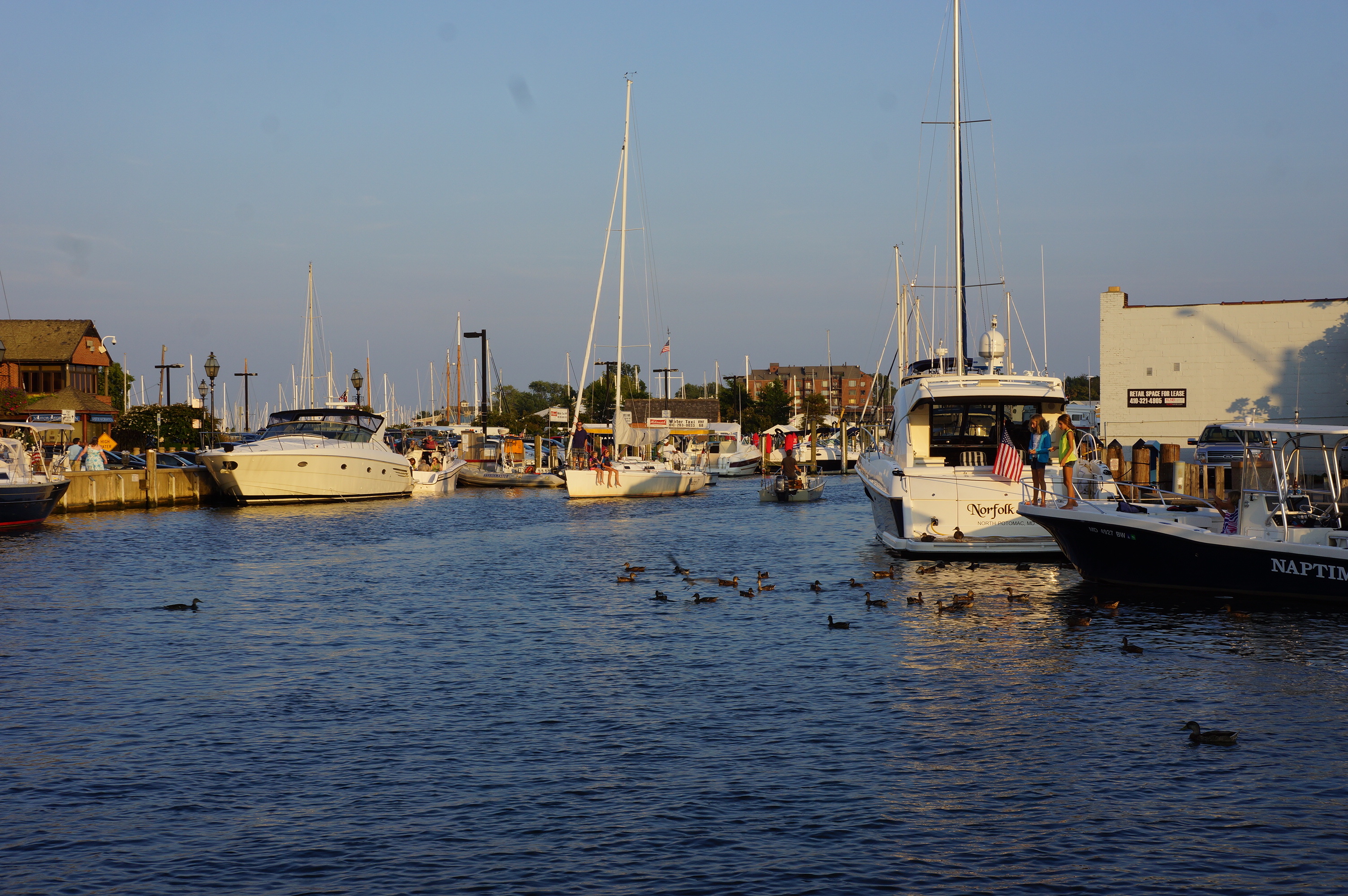 Free download high resolution image - free image free photo free stock image public domain picture -Chesapeake Bay of Annapolis Waterfront