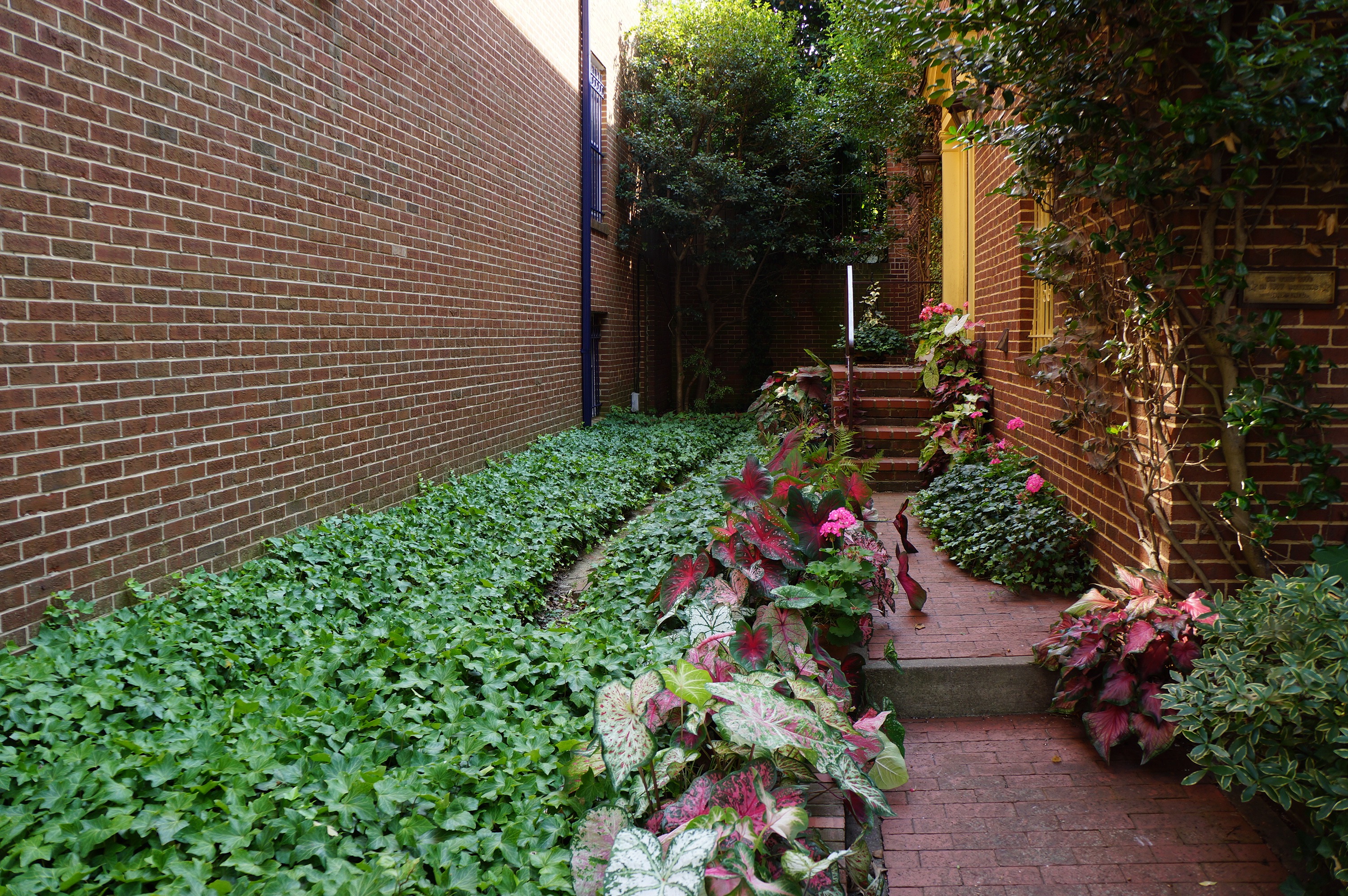 Free download high resolution image - free image free photo free stock image public domain picture -Flower Beds Landscape