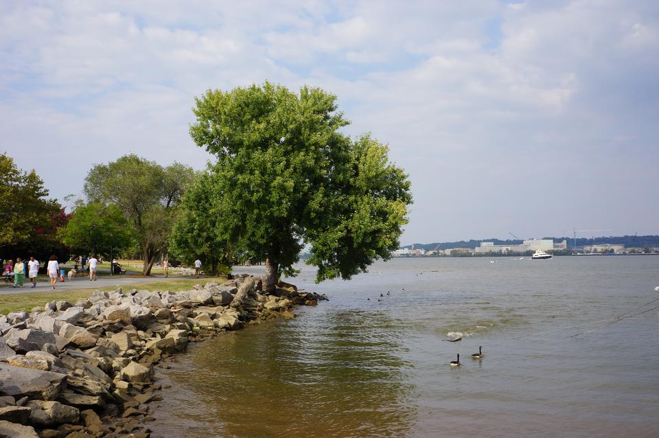 Free download high resolution image - free image free photo free stock image public domain picture  Waterfront Park - Old Town Alexandria