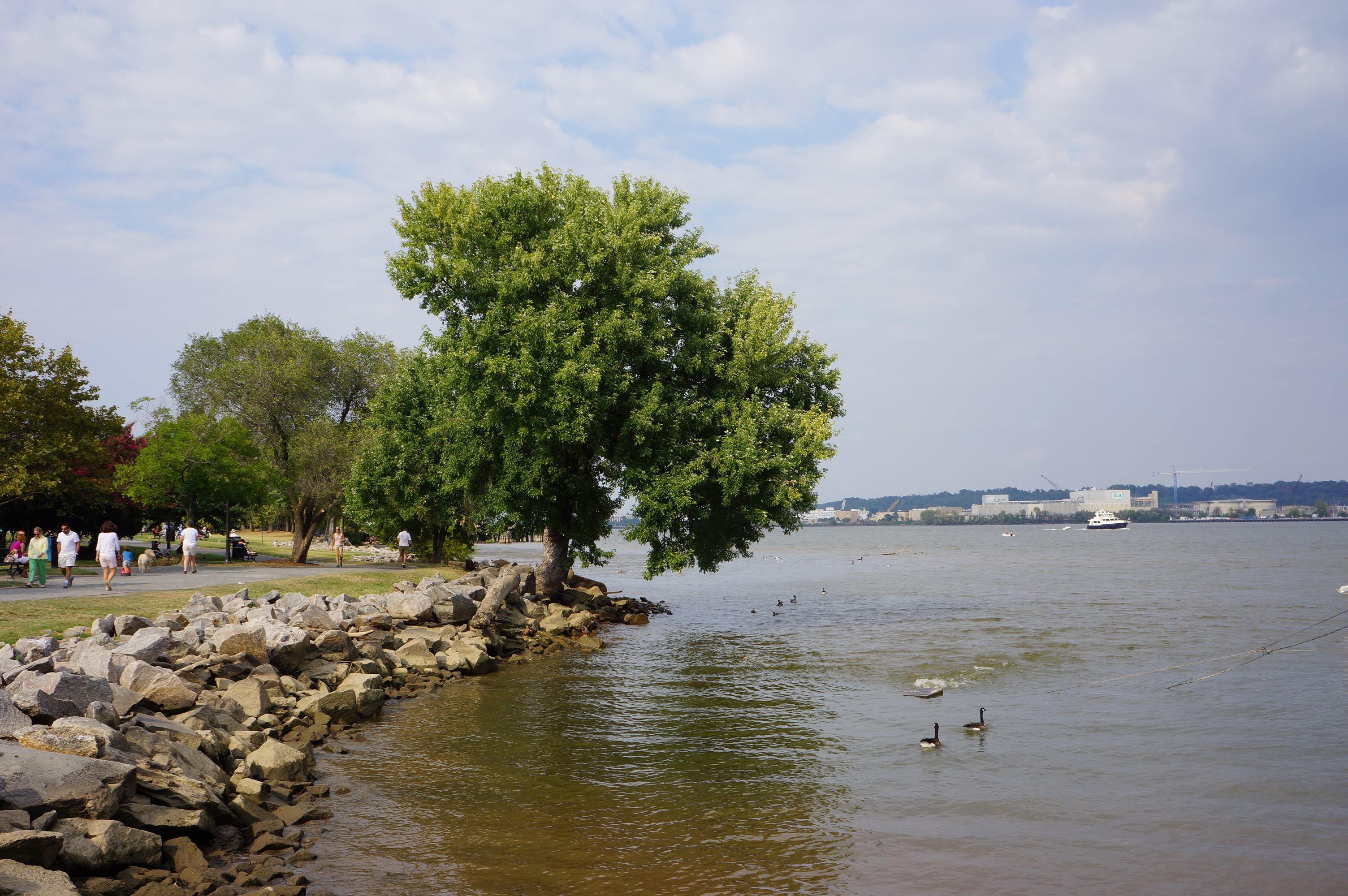 Free download high resolution image - free image free photo free stock image public domain picture -Waterfront Park - Old Town Alexandria