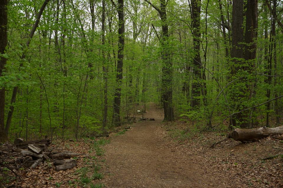 Free download high resolution image - free image free photo free stock image public domain picture  Scott's Run Nature Preserve Hike