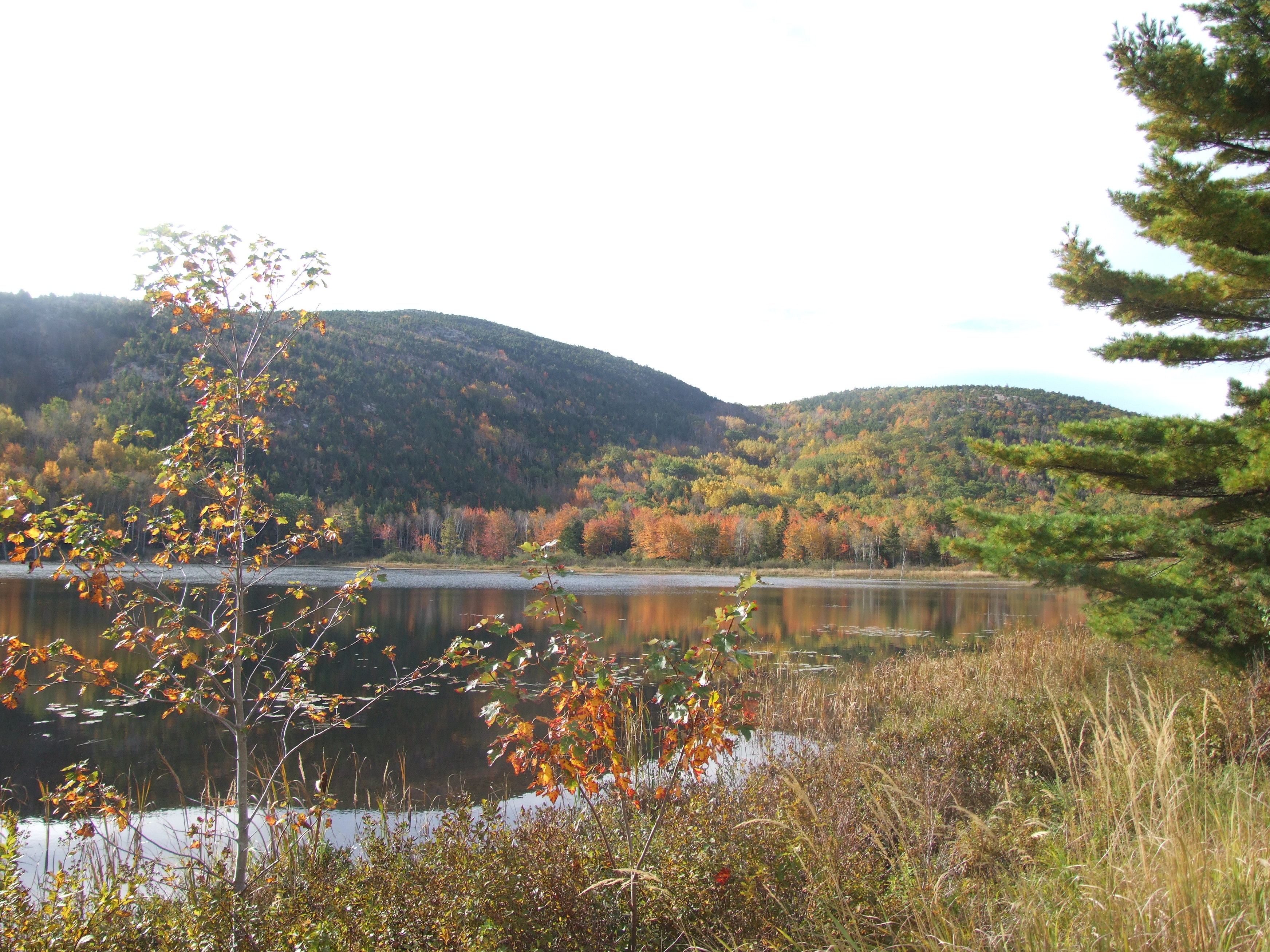 Free download high resolution image - free image free photo free stock image public domain picture -Acadia National Park, Maine