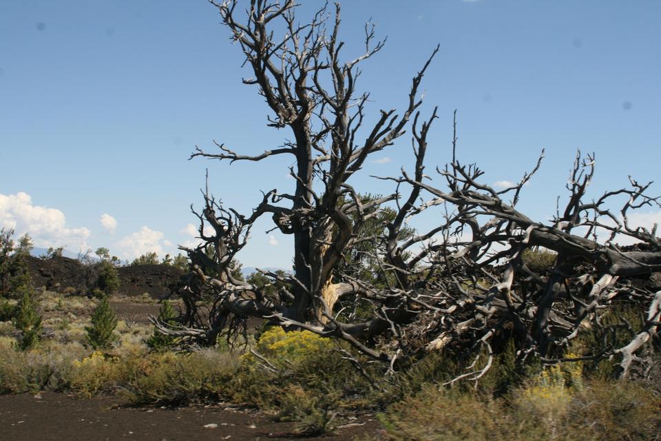 Free download high resolution image - free image free photo free stock image public domain picture  Craters of the Moon National Monument