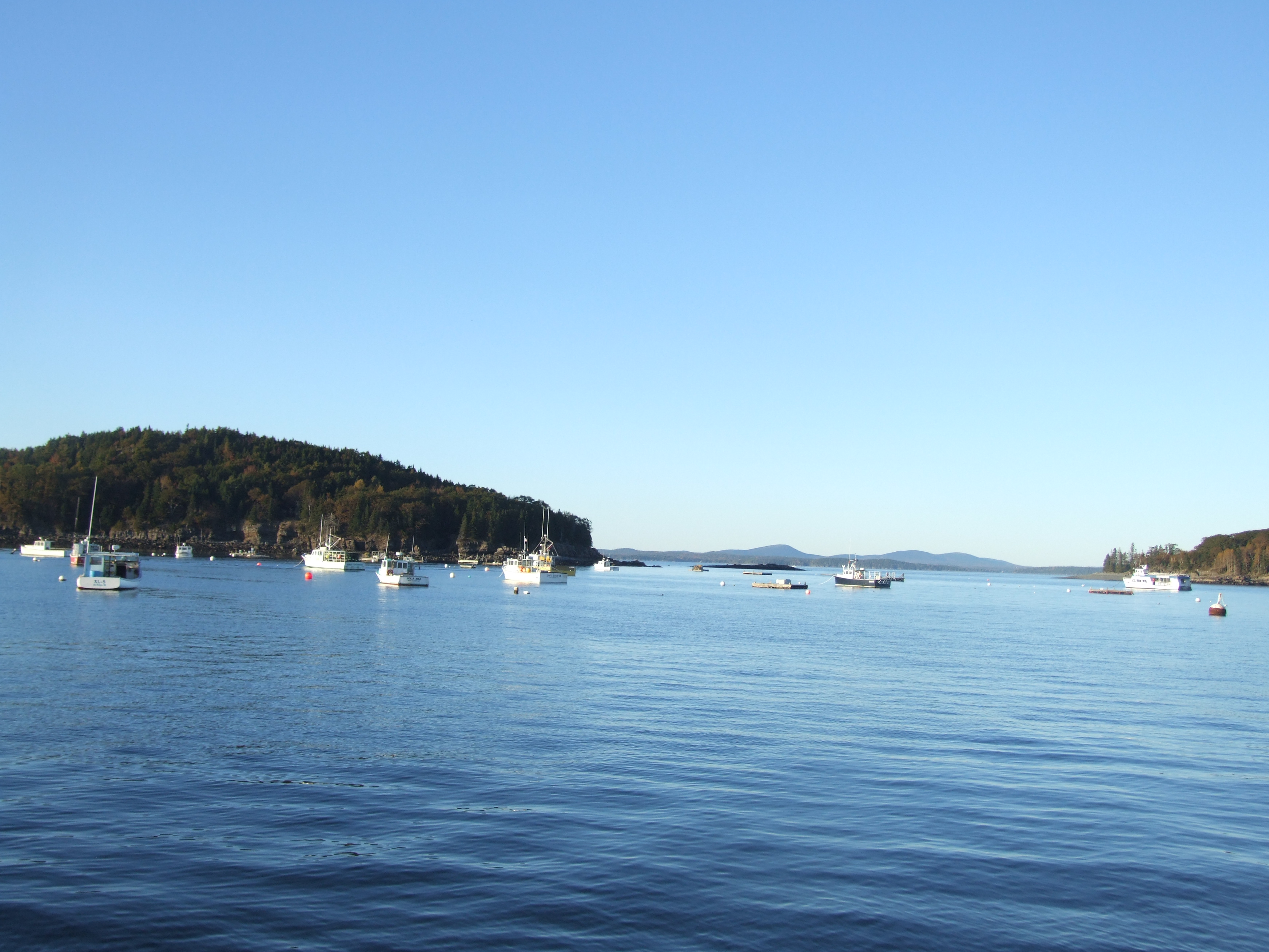 Free download high resolution image - free image free photo free stock image public domain picture -Ship Harbor Nature Trail - Bass Harbor