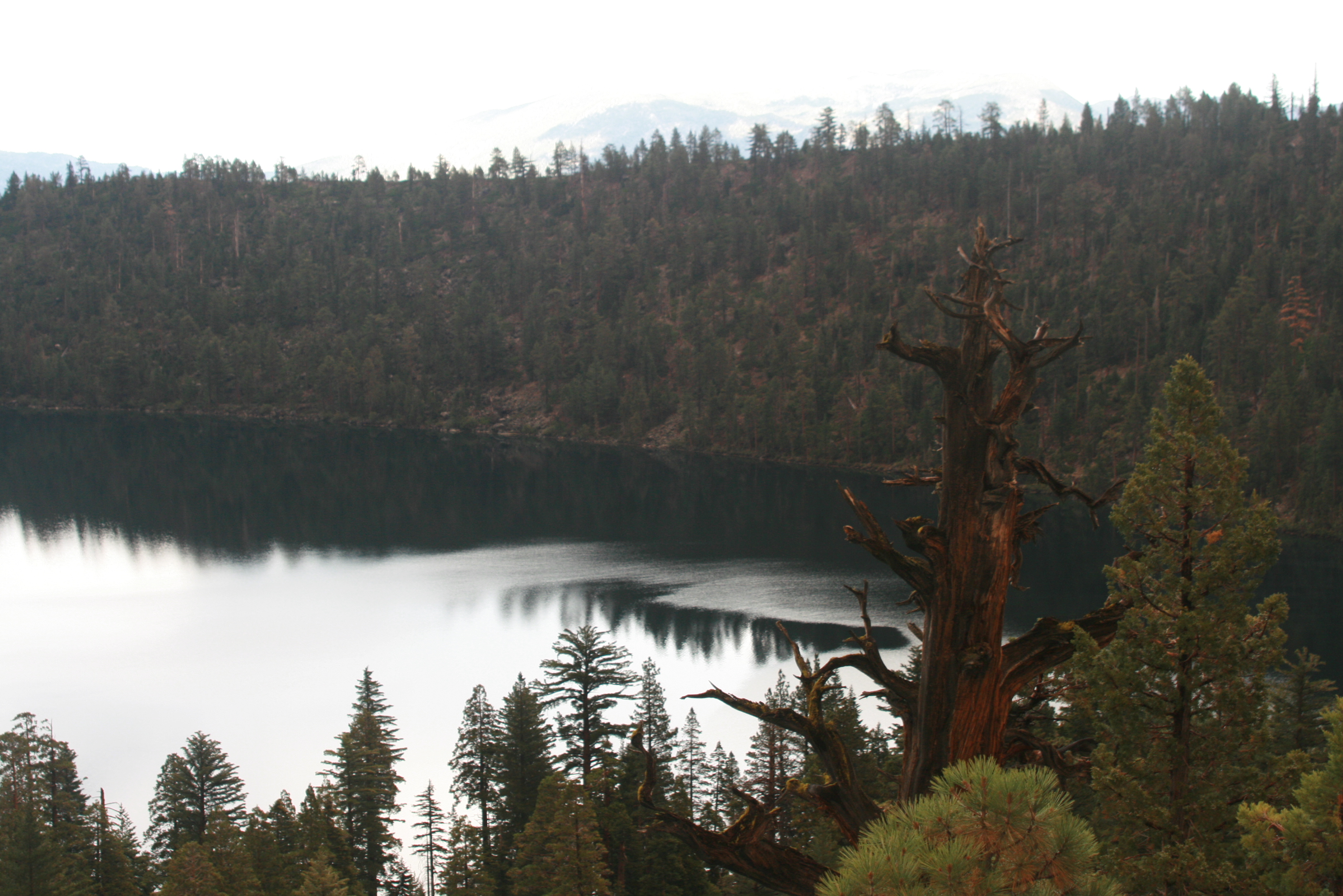 Free download high resolution image - free image free photo free stock image public domain picture -South Lake Tahoe Trails