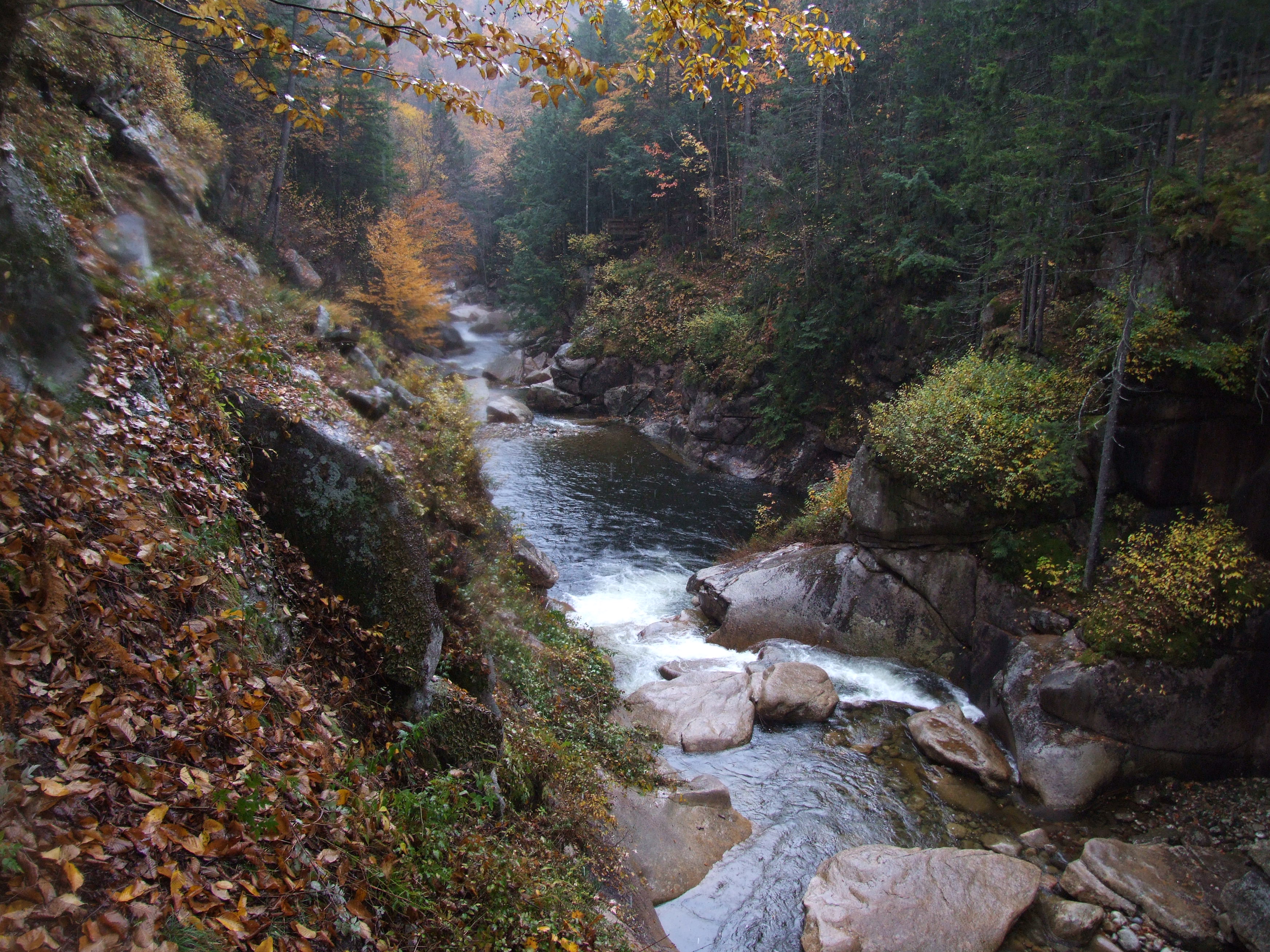 Free download high resolution image - free image free photo free stock image public domain picture -White Mountains Fall Foliage