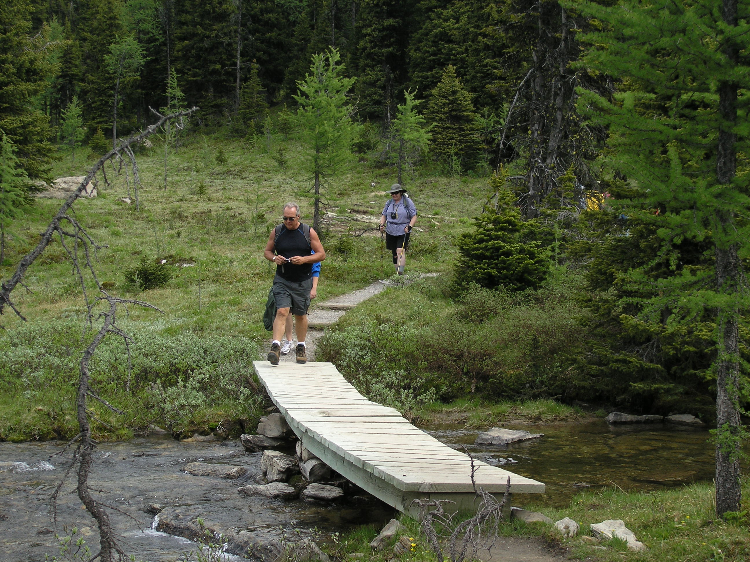 Free download high resolution image - free image free photo free stock image public domain picture -Hiking At Sunshine Meadows