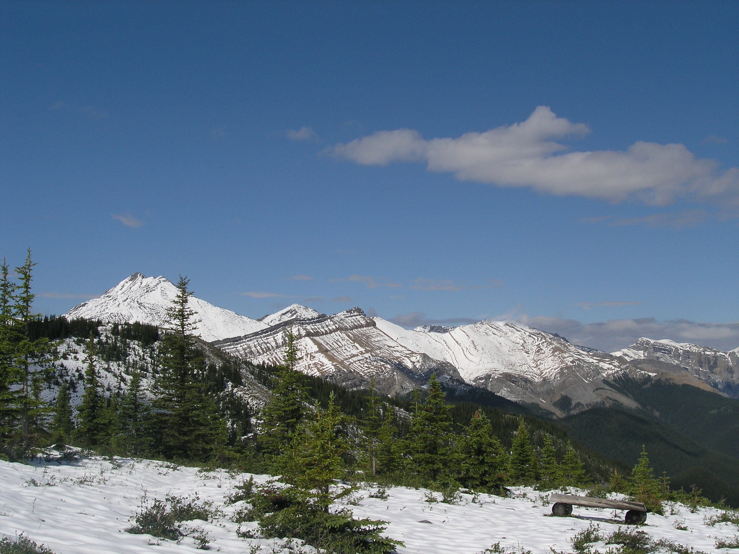 Free download high resolution image - free image free photo free stock image public domain picture -Sulphur Mountain Trail - Banff National Park