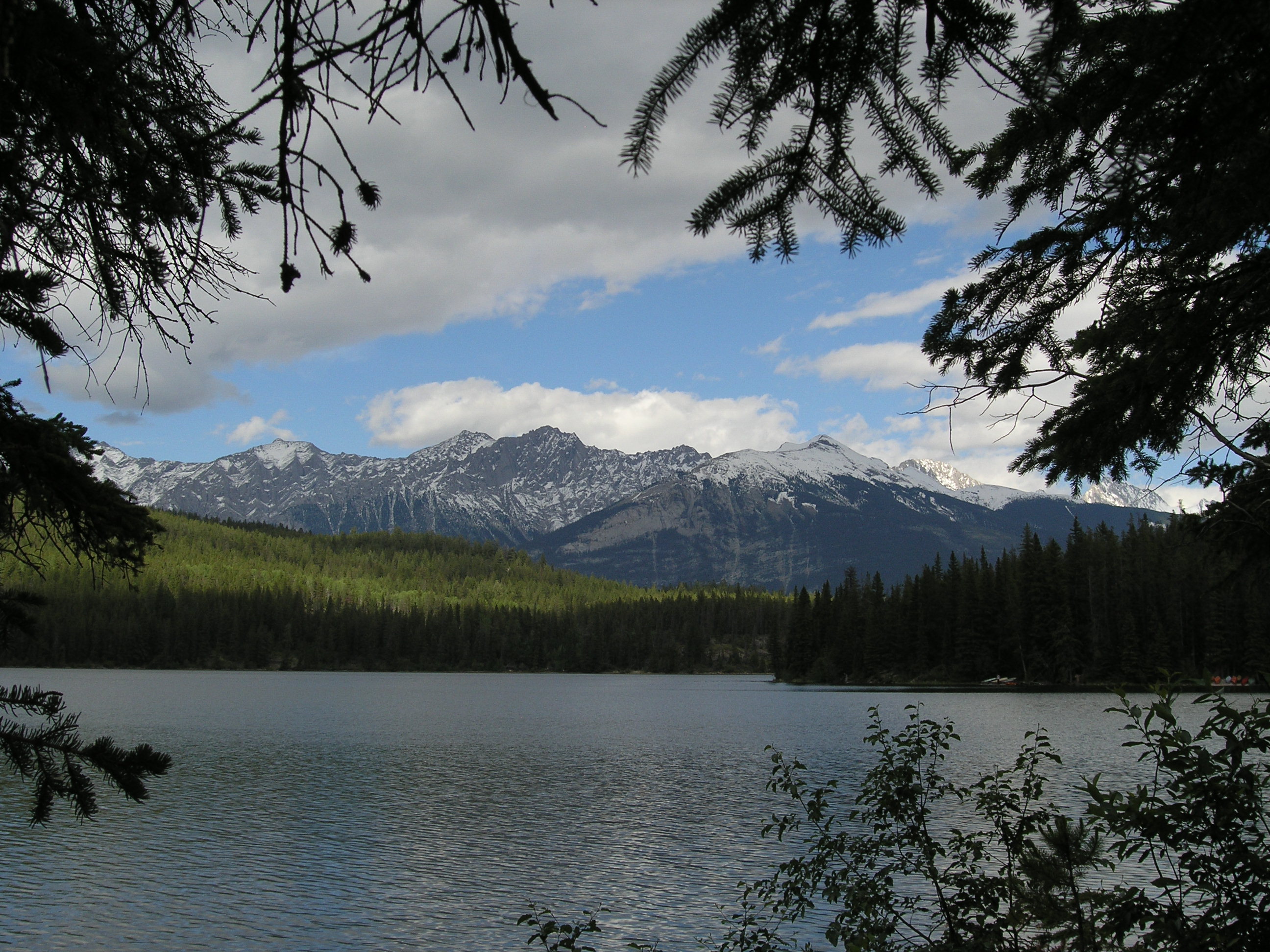 Free download high resolution image - free image free photo free stock image public domain picture -Banff Hiking Sulphur Mountain Trail