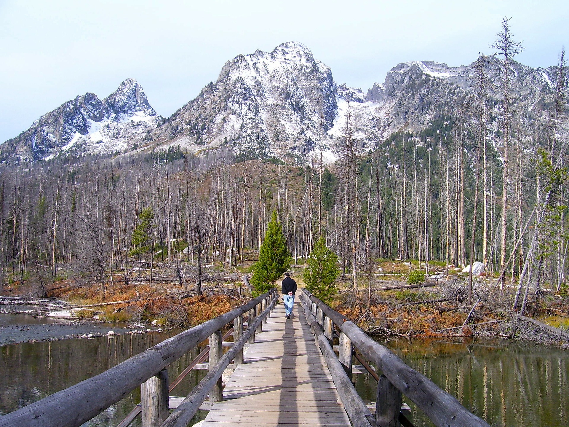 Free download high resolution image - free image free photo free stock image public domain picture -Grand Teton National Park Wyoming