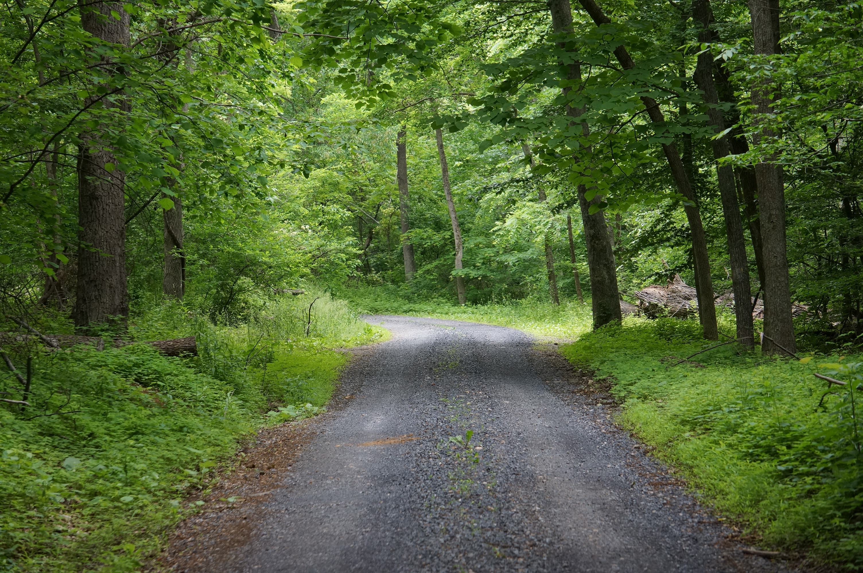 Free download high resolution image - free image free photo free stock image public domain picture -Off-Road Routes Shenandoah