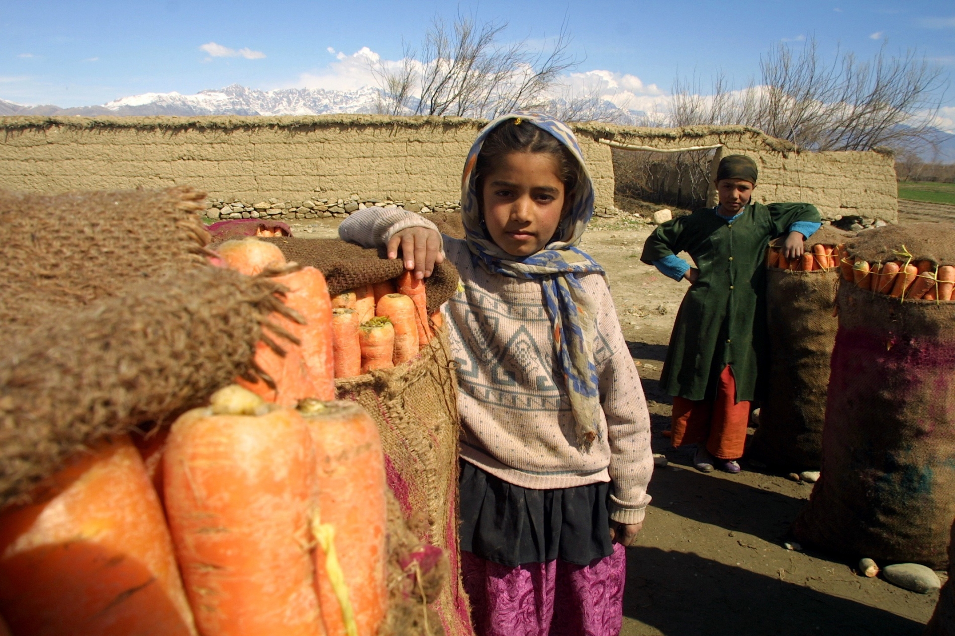 Free download high resolution image - free image free photo free stock image public domain picture -Afghan friends pose for a picture