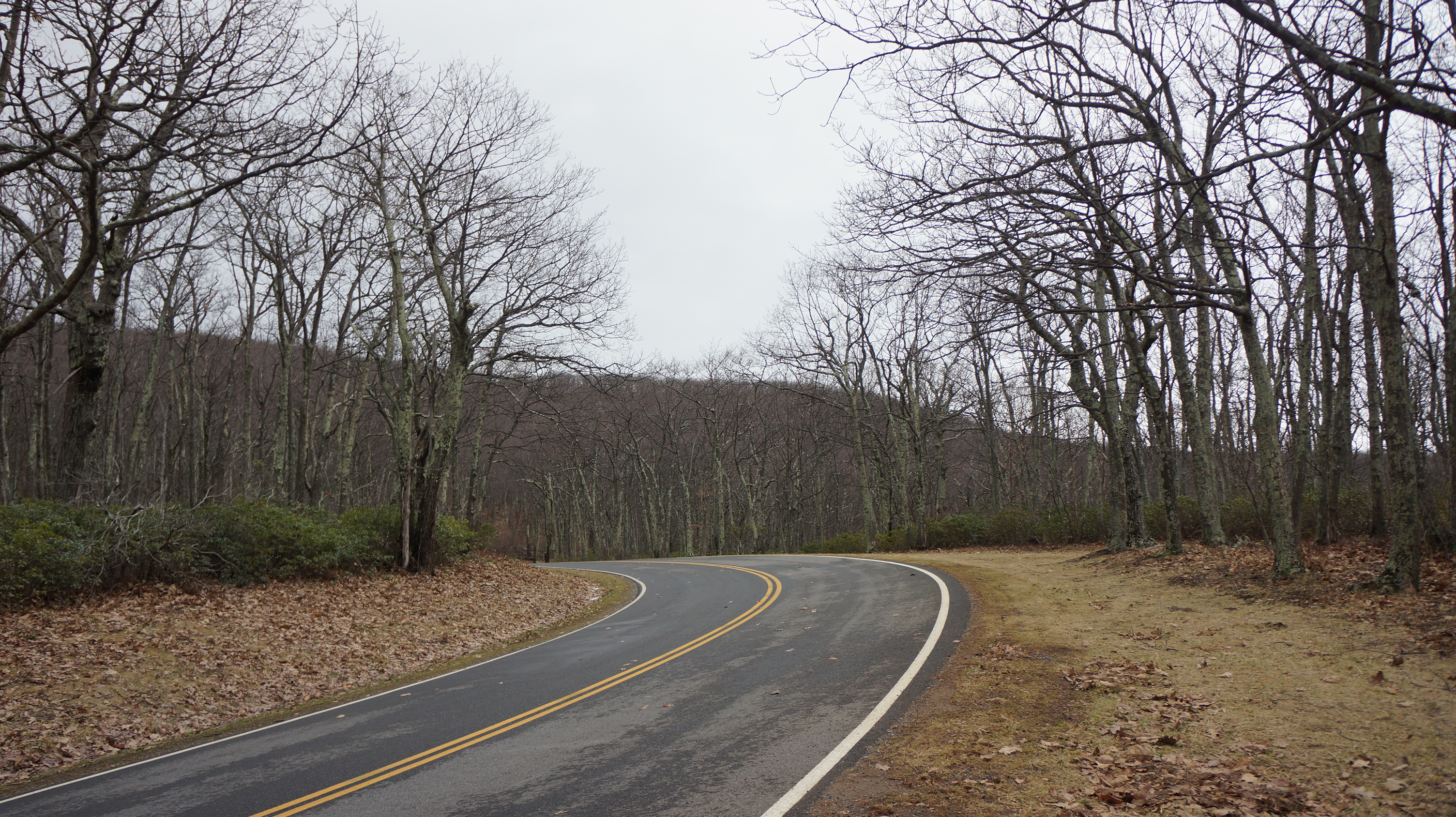 Free download high resolution image - free image free photo free stock image public domain picture -Shandoah Skyline Drive