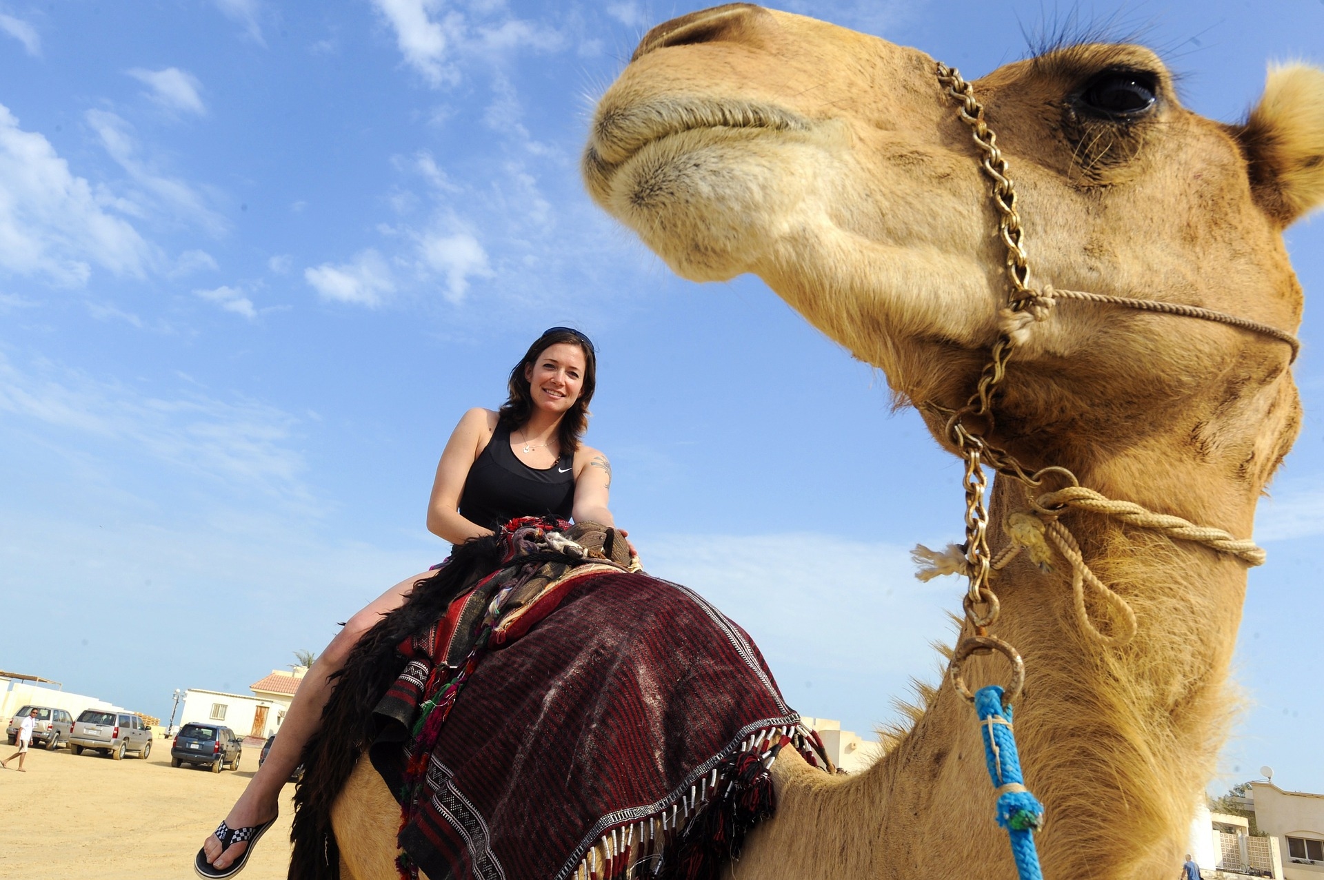 Free download high resolution image - free image free photo free stock image public domain picture -Woman tourist during camel ride