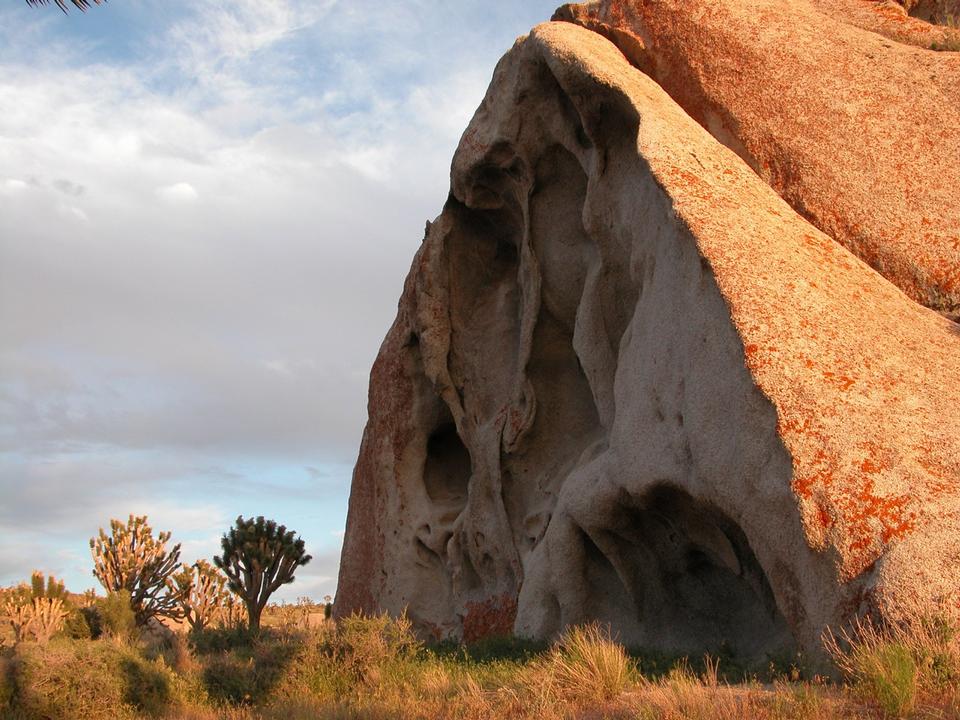 Free download high resolution image - free image free photo free stock image public domain picture  Boulder and Joshua trees on Cima Dome