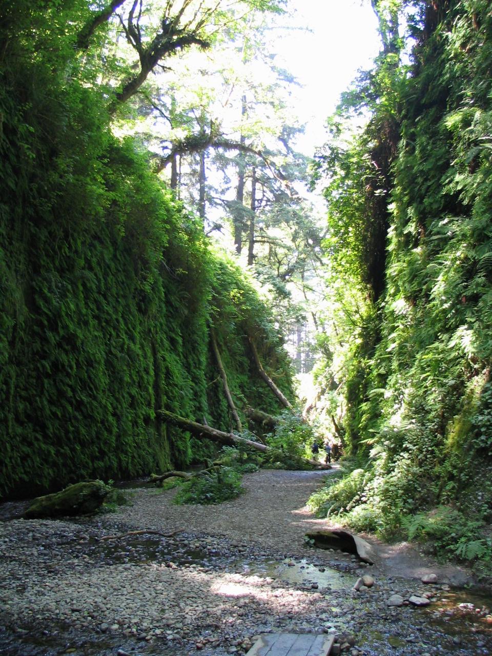 Free download high resolution image - free image free photo free stock image public domain picture  Hiking in Fern Canyon