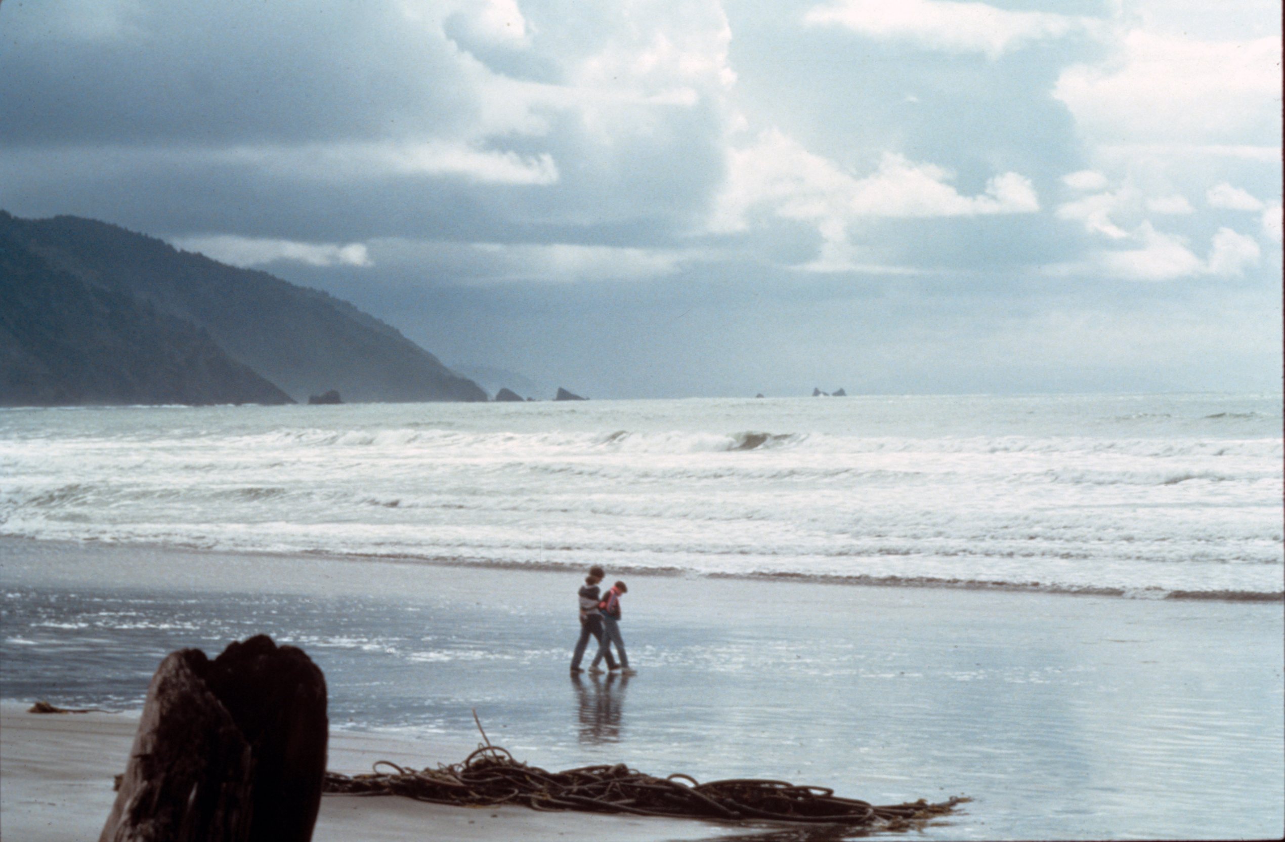 Free download high resolution image - free image free photo free stock image public domain picture -Strolling Crescent Beach