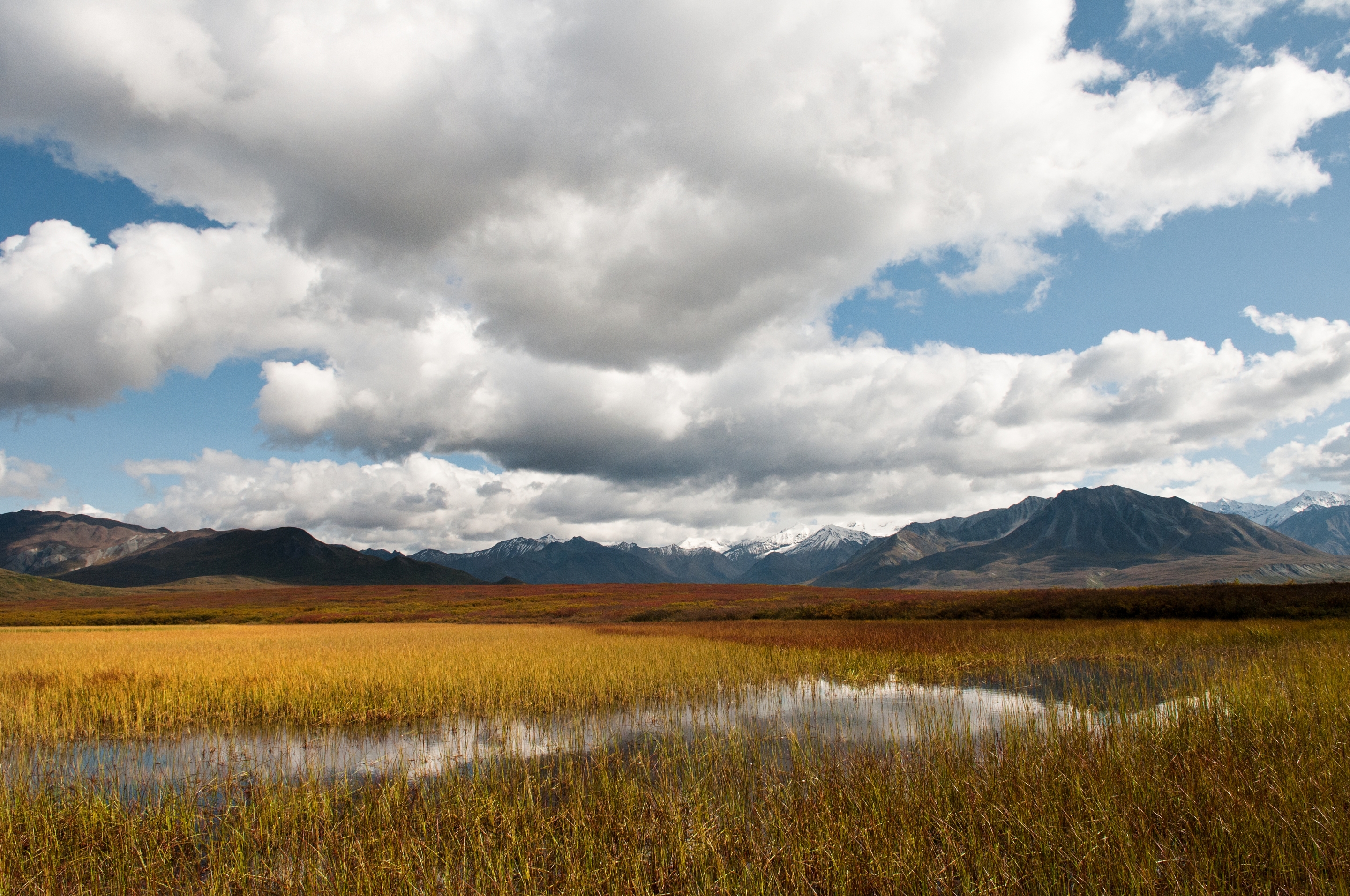 Free download high resolution image - free image free photo free stock image public domain picture -Ephemeral pond Denali National Park & Preserve