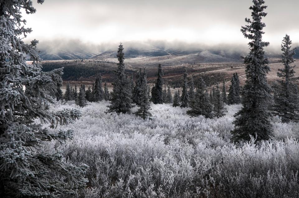 Free download high resolution image - free image free photo free stock image public domain picture  Alaska Range - Denali National Park