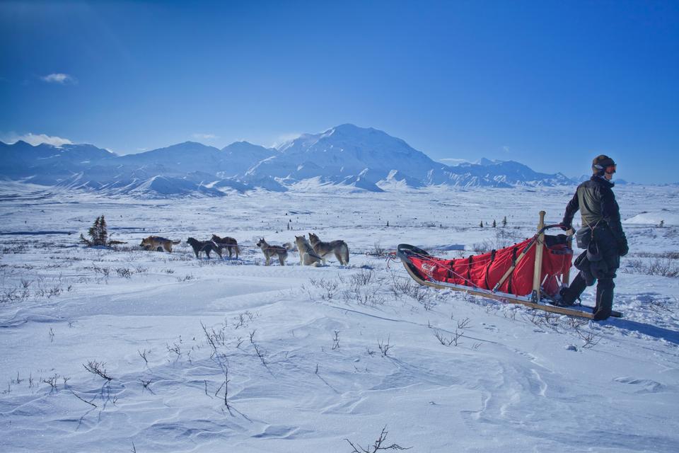 Free download high resolution image - free image free photo free stock image public domain picture  Dog sledging trip in cold snowy winter