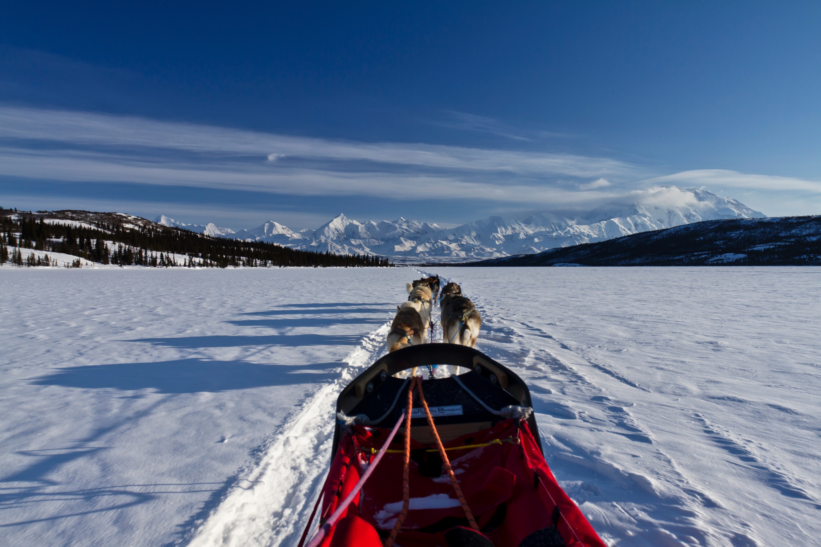 Free download high resolution image - free image free photo free stock image public domain picture -sled dog race on snow in winter