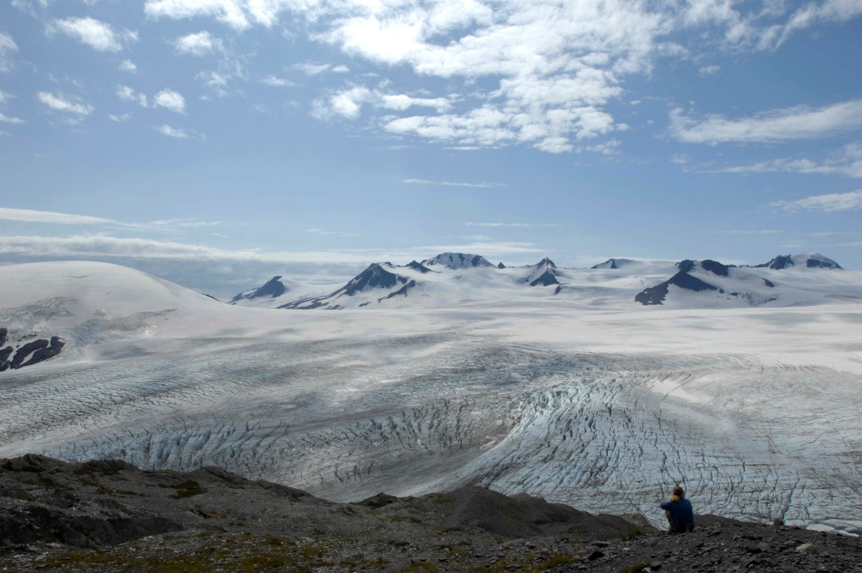 Free download high resolution image - free image free photo free stock image public domain picture -Harding Icefield Trail