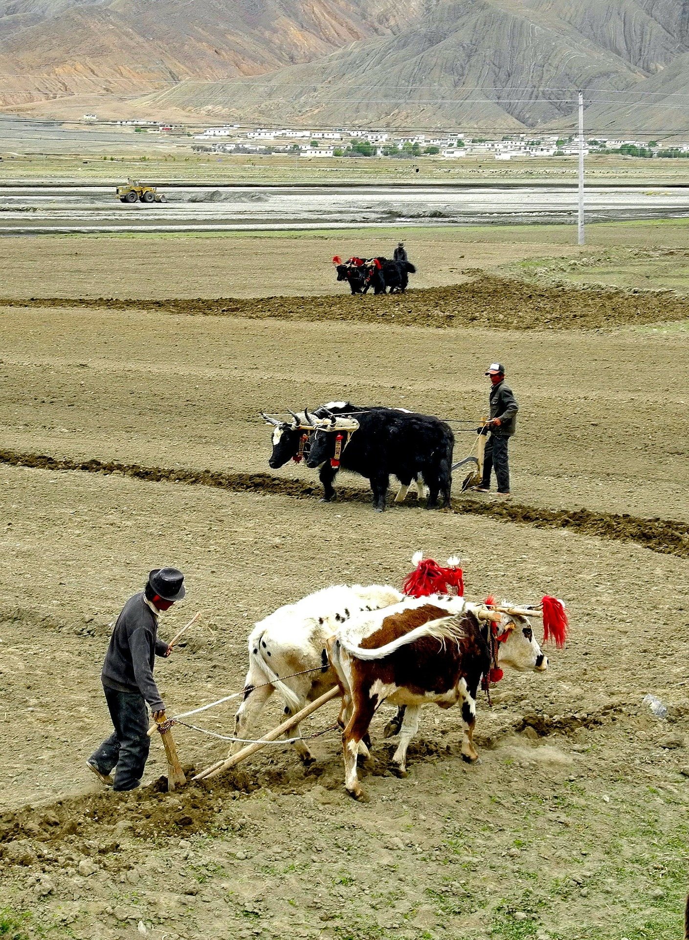 Free download high resolution image - free image free photo free stock image public domain picture -Sherpa Farmer Plowing Fields