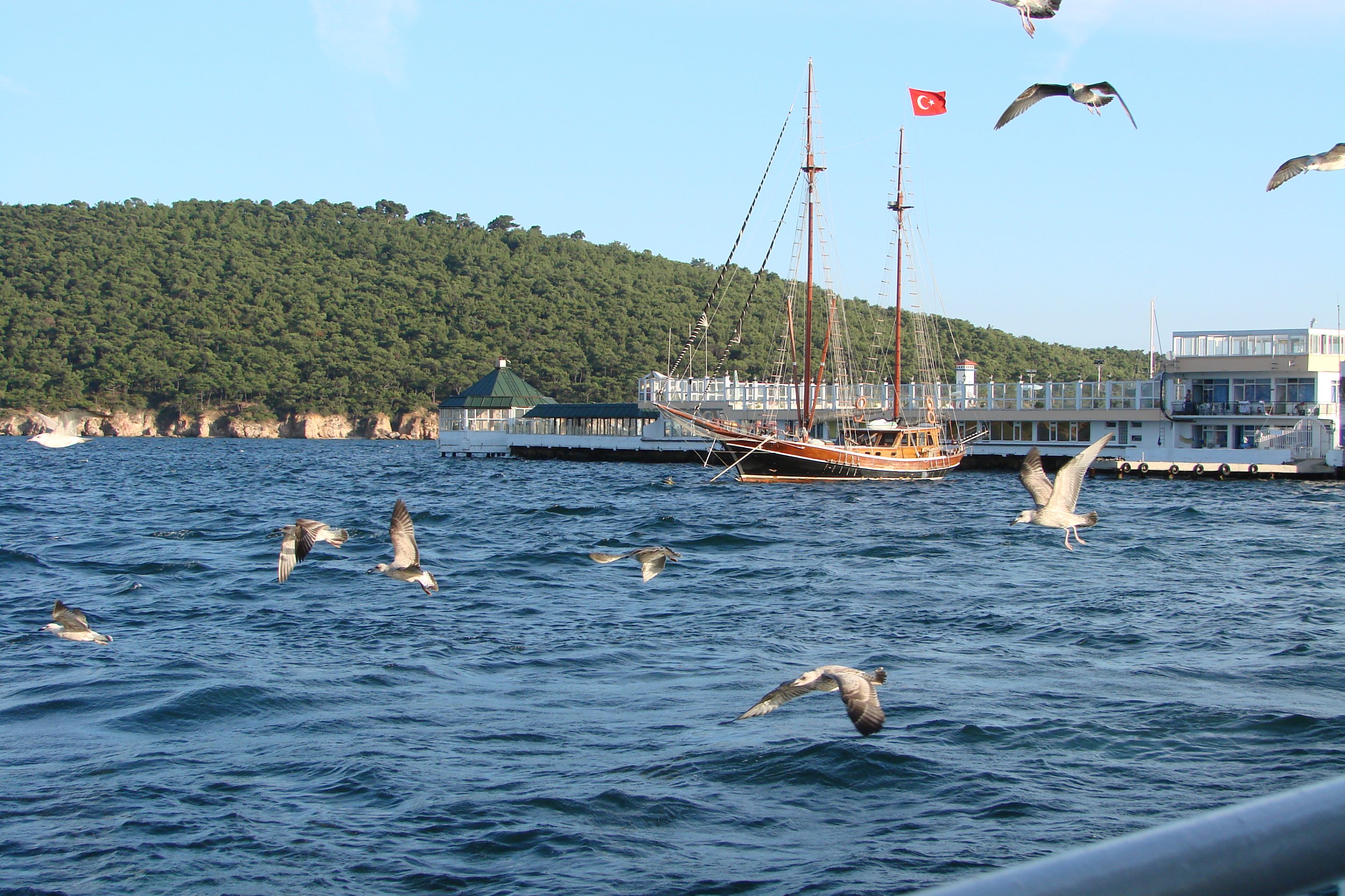 Free download high resolution image - free image free photo free stock image public domain picture -Marina of Burgazada, Istanbul Turkey