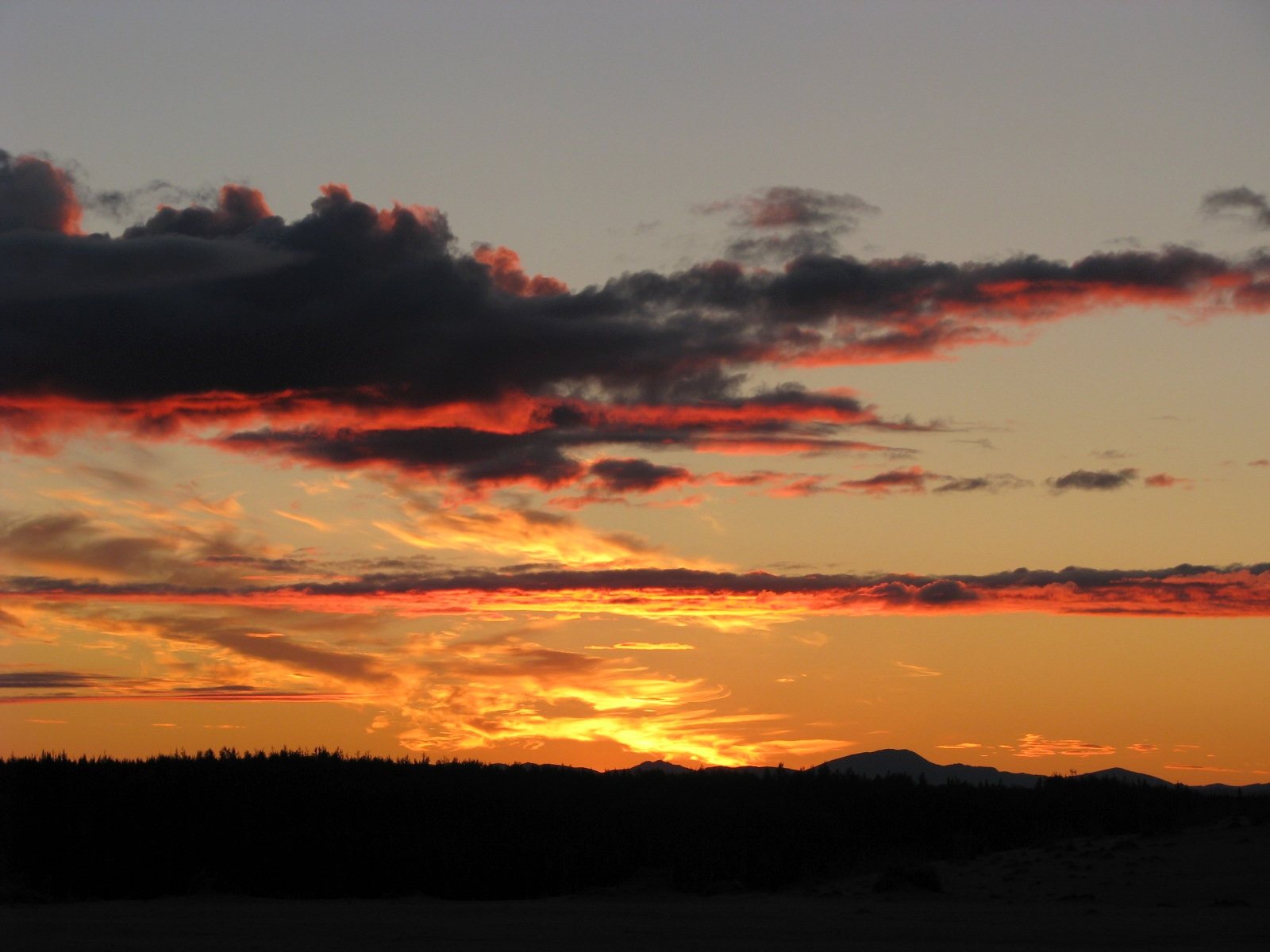 Free download high resolution image - free image free photo free stock image public domain picture -Cranes at Sunset