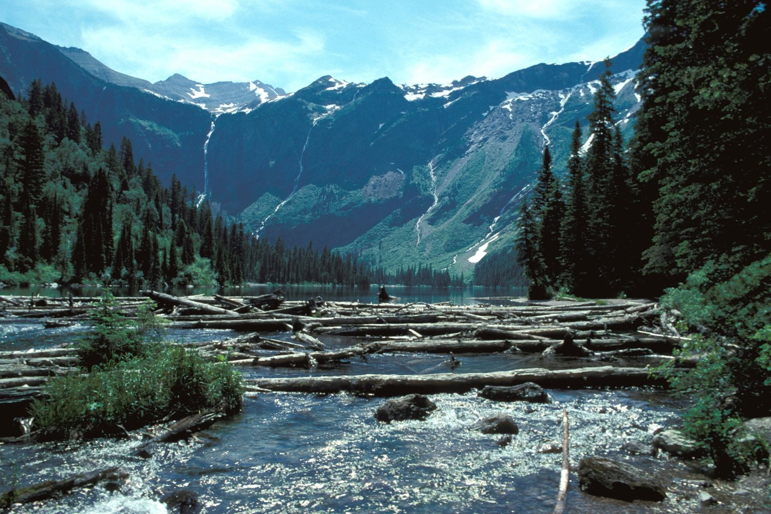 Free download high resolution image - free image free photo free stock image public domain picture -Avalanche Lake Glacier National Park