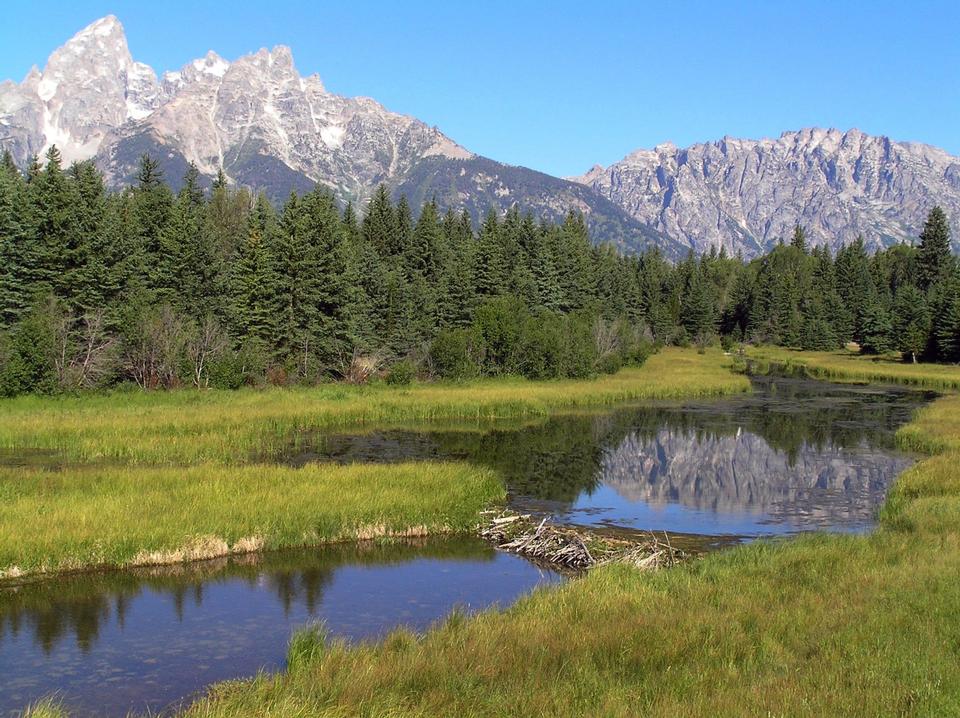 Free download high resolution image - free image free photo free stock image public domain picture  Beaver dam Grand Teton National Park