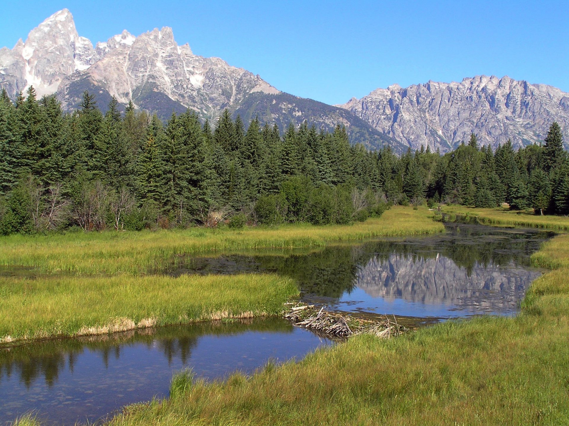 Free download high resolution image - free image free photo free stock image public domain picture -Beaver dam Grand Teton National Park