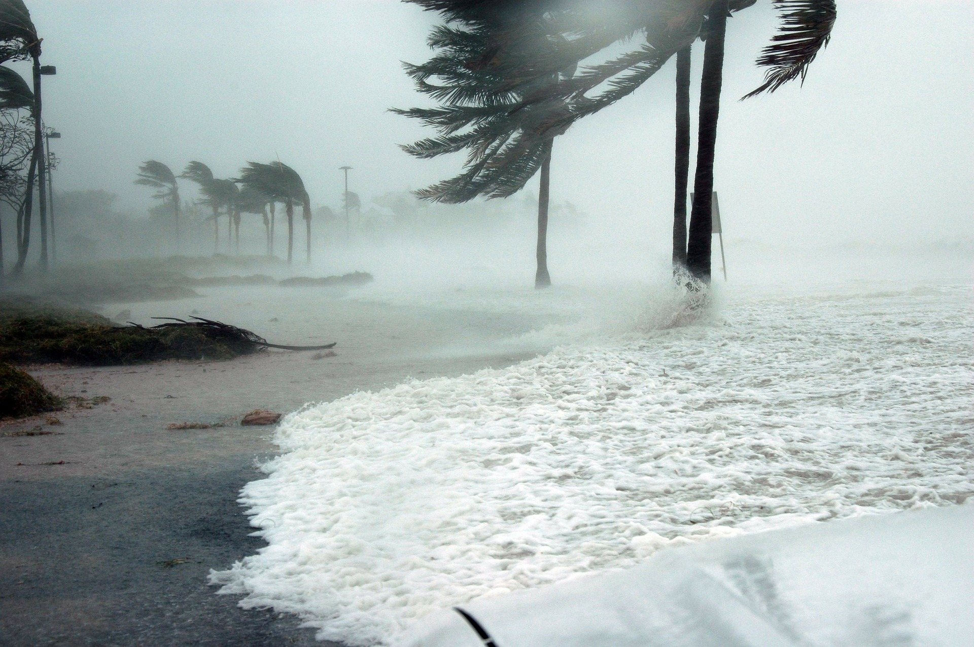 Free download high resolution image - free image free photo free stock image public domain picture -Hurricane Dennis Florida