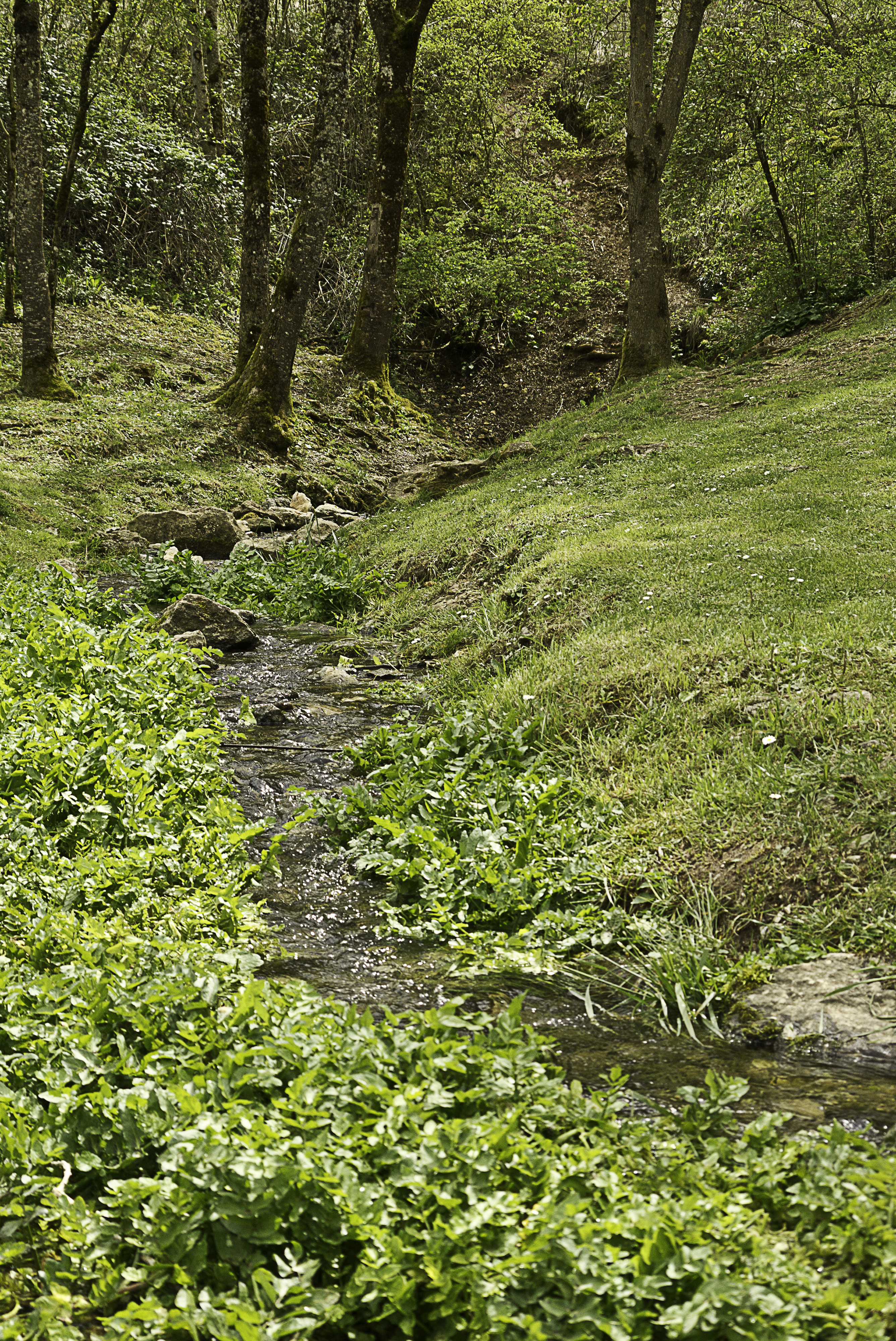 Free download high resolution image - free image free photo free stock image public domain picture -Landscape of Aubrac in Aveyron, France