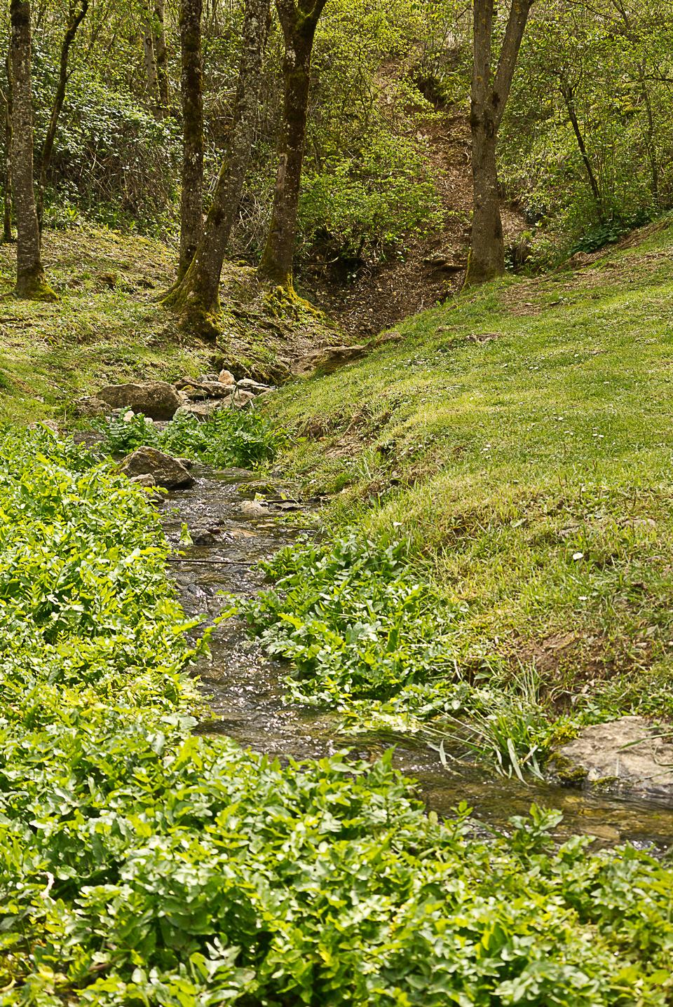 Free download high resolution image - free image free photo free stock image public domain picture  Landscape of Aubrac in Aveyron, France